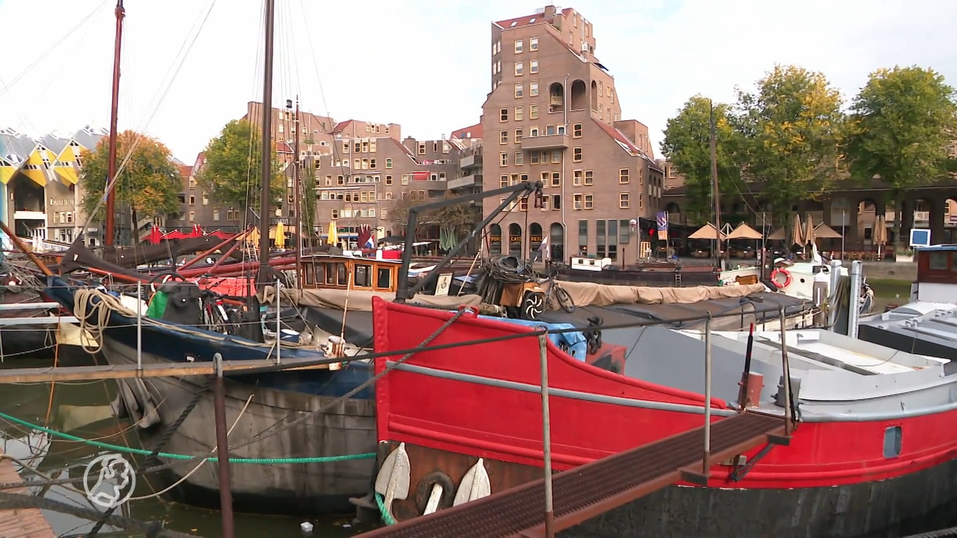 Koning Willem-Alexander en familie vieren Koningsdag 2023 in Rotterdam