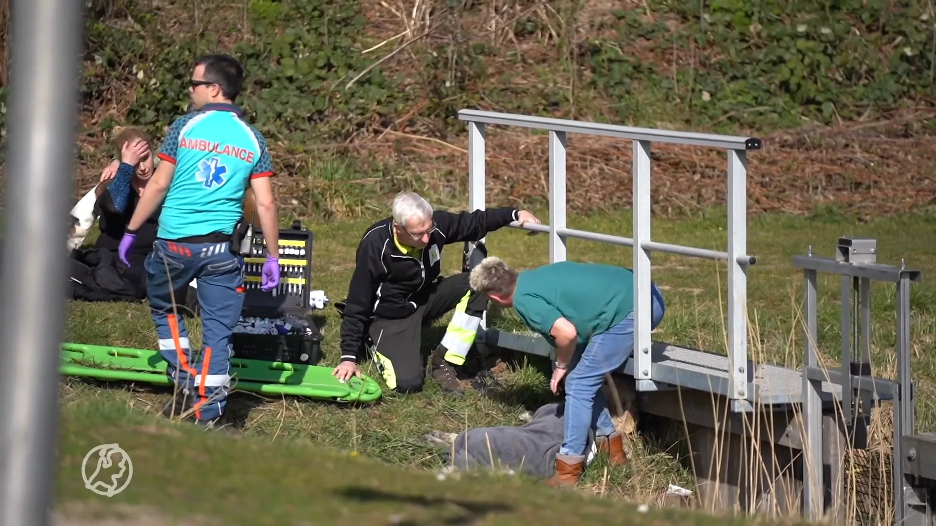 Hond overlijdt bij heftig ongeluk in Ridderkerk