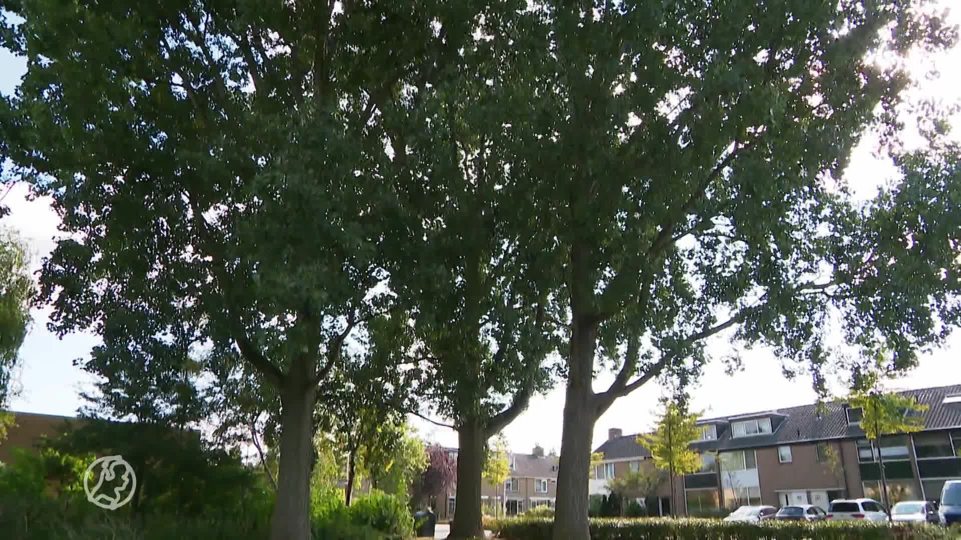 Alphenaren bezorgd over bouwplannen op trapveldjes: 'Groene plekjes wordt geroofd'