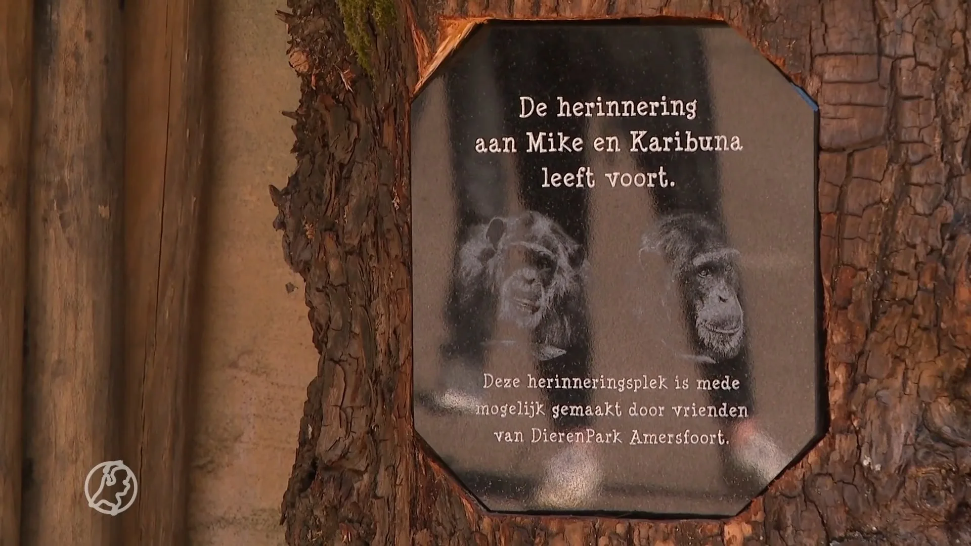 Herdenkingsplek voor doodgeschoten Mike en Karibuna