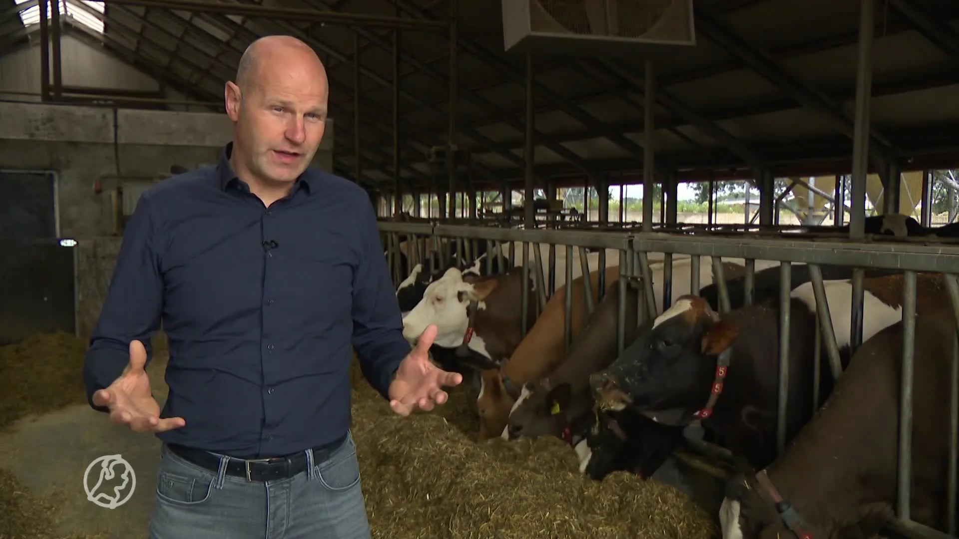 Nieuw stikstofrapport bedreigt boeren, animo voor nieuw boere...