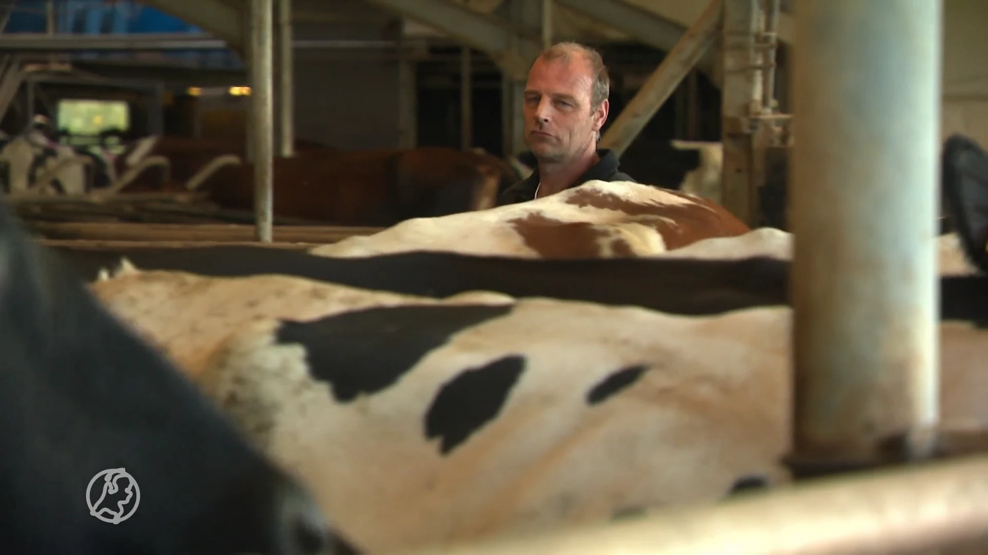 Johan Remkes presenteert bevindingen na stikstofgesprekken: wat vinden de boeren hiervan?