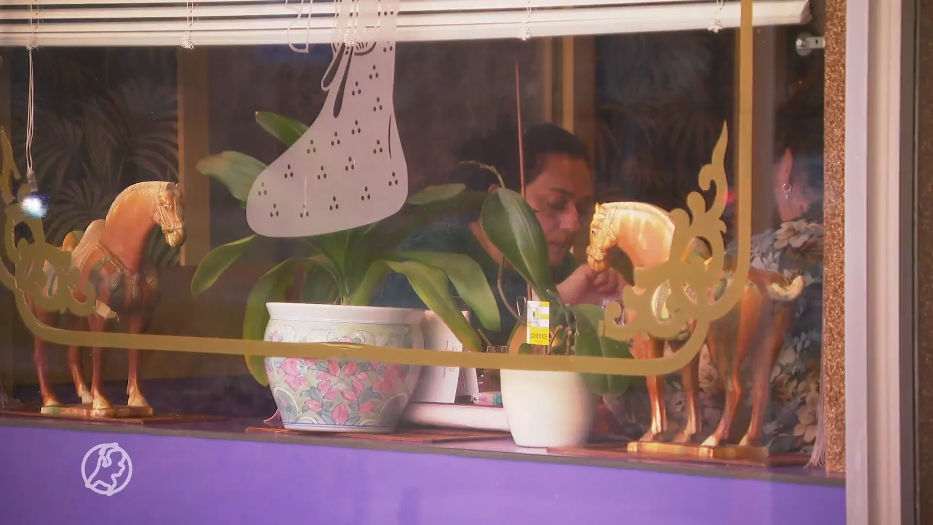 De babi pangang verdwijnt: Chinees-Indische restaurants sluiten massaal deuren