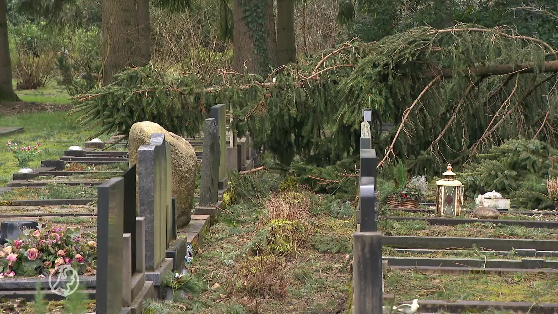 Storm veroorzaakt ravage op begraafplaats Emmen: tien tot vijftien bomen op graven gevallen