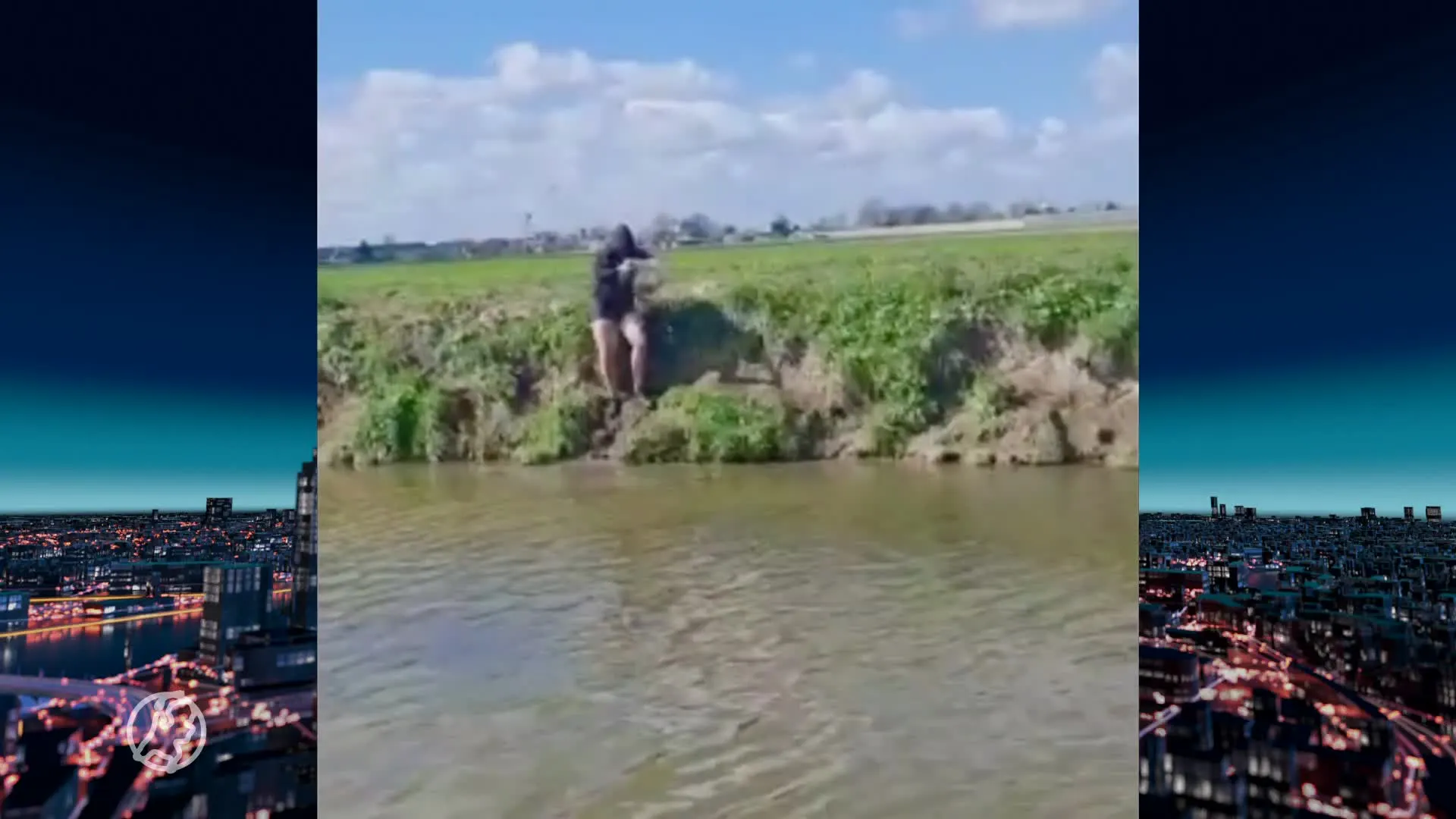 Wesley en Ricardo redden zwaan die vastzit in muskusratval