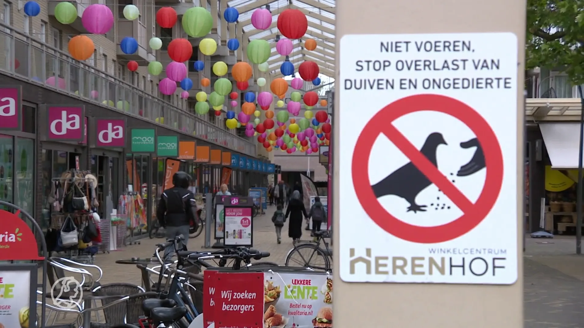 Winkeliers Alphen worden 'schijtziek' van poepende duiven: 'We zijn de Dam niet!'