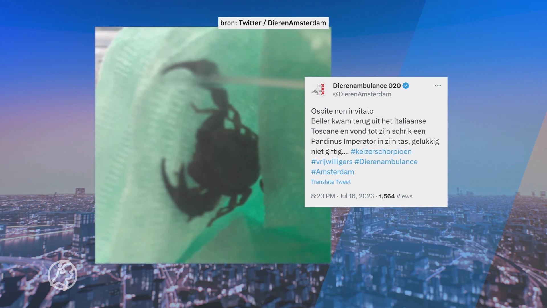 Toerist schrikt van keizersschorpioen bij openen tas na terugkeer in Nederland