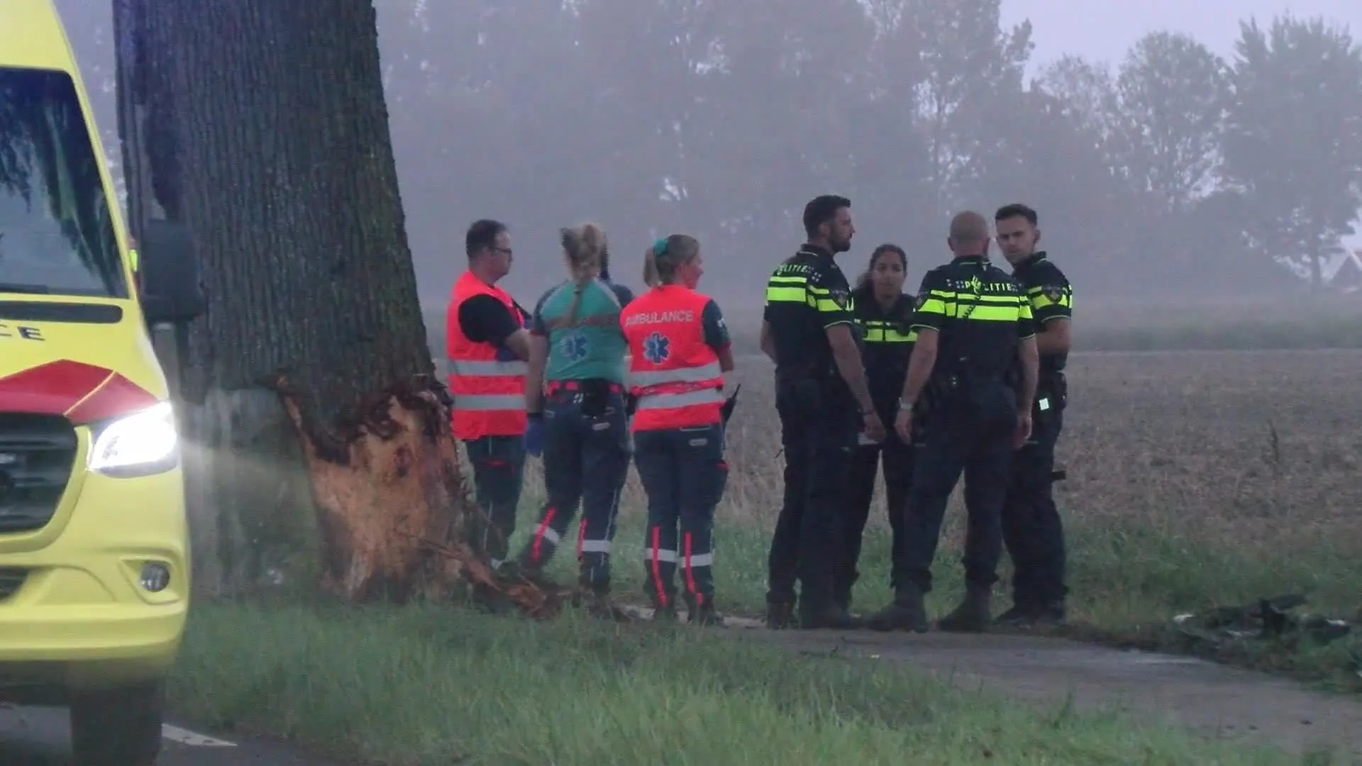 Automobilist (57) overleden bij zware klap tegen boom in Lewedorp