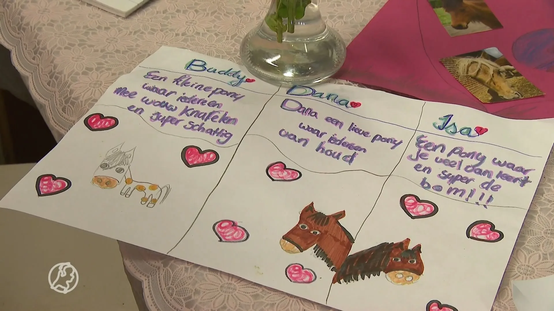 Brabantse paardenstal in rouw na gruwelijke dood Buddy, Isa en Dana