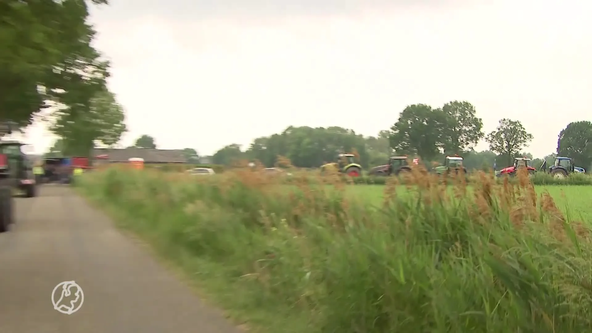 Wake voor duizenden gestorven varkens bij stalbrand, Farmers ...