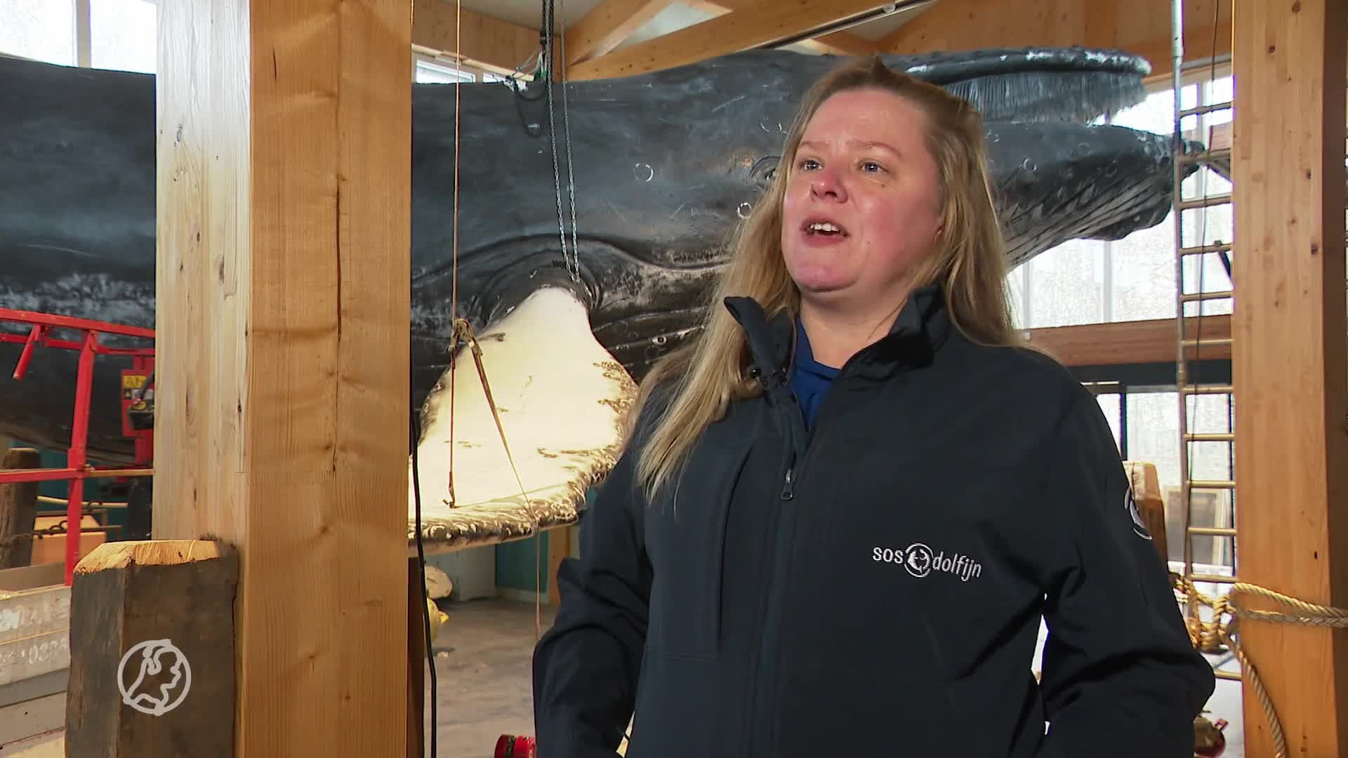 Jim maakte levensechte replica van bultrug Dutchy: 'Hij komt echt tot leven'