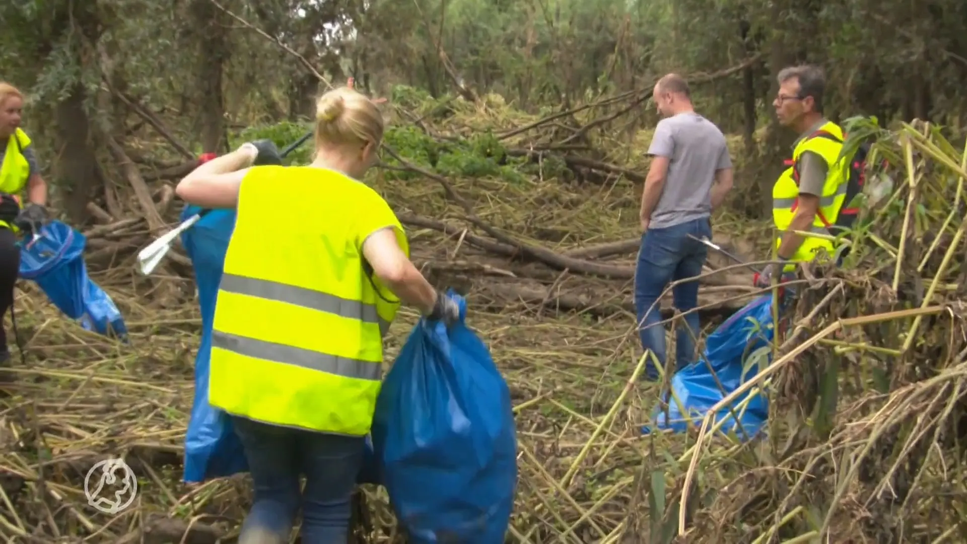 Vrijwilligers ruimen achtergebleven troep op in Limburgse natuur