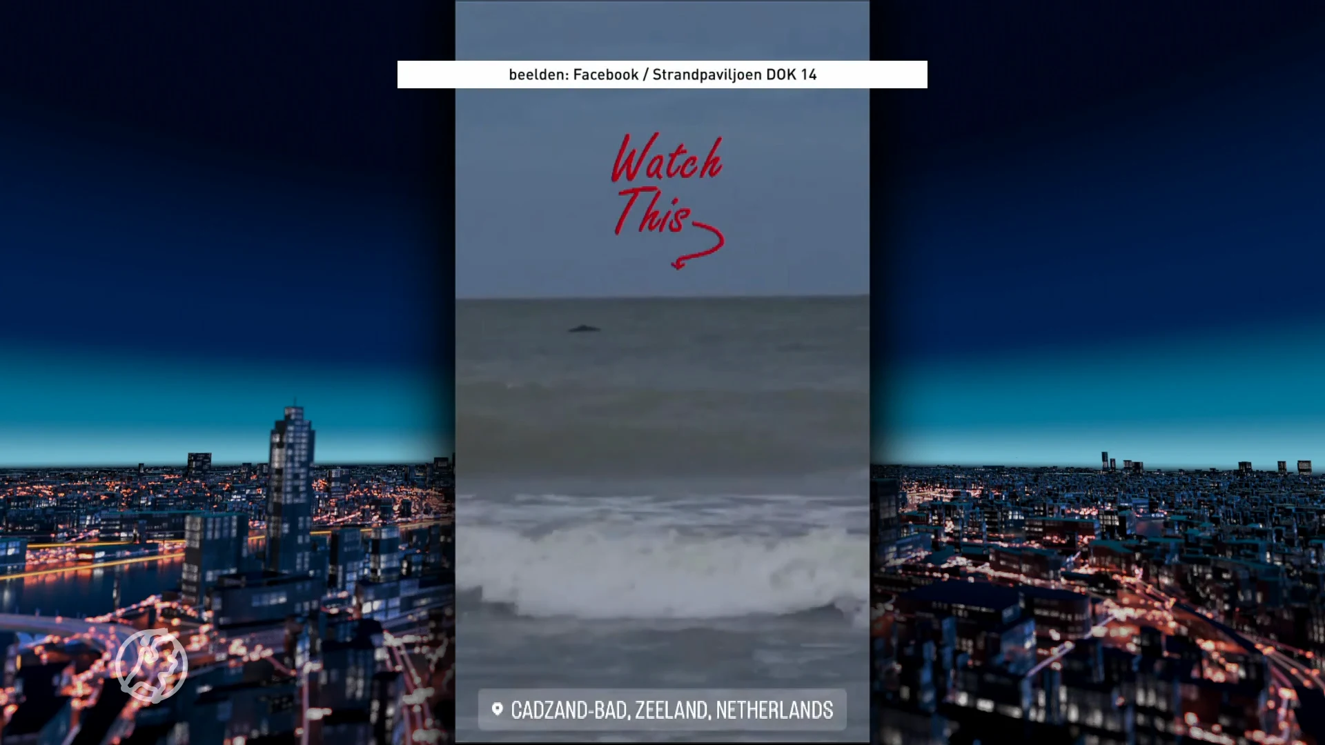 Bultrug laat zich opnieuw zien voor Zeeuwse kust