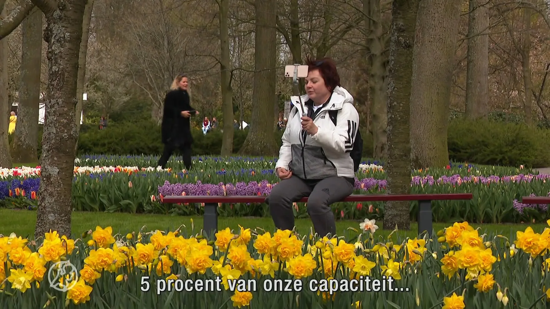 Keukenhof en monumenten mogen weer open