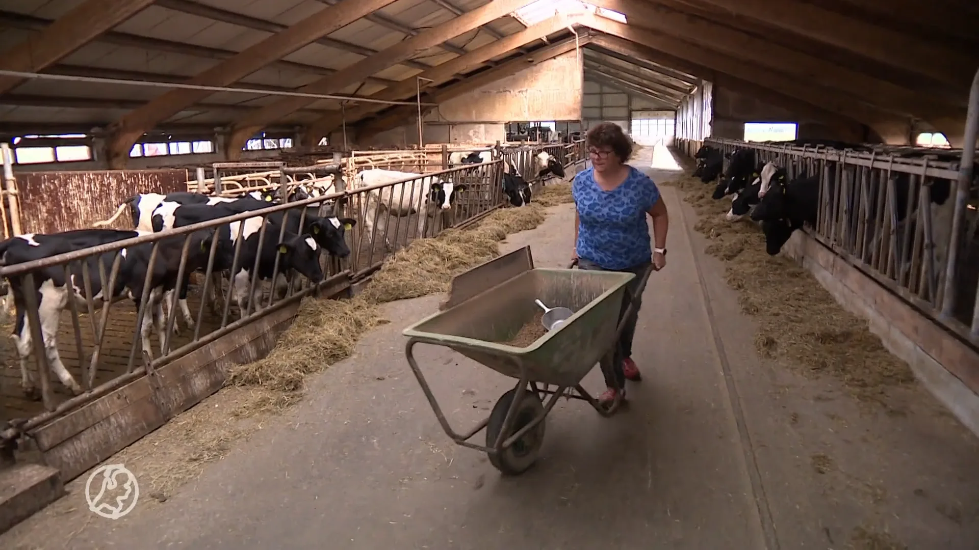 Duizenden boeren 'illegaal' door ontbrekende vergunning: 'Toeslagenaffaire 2.0'