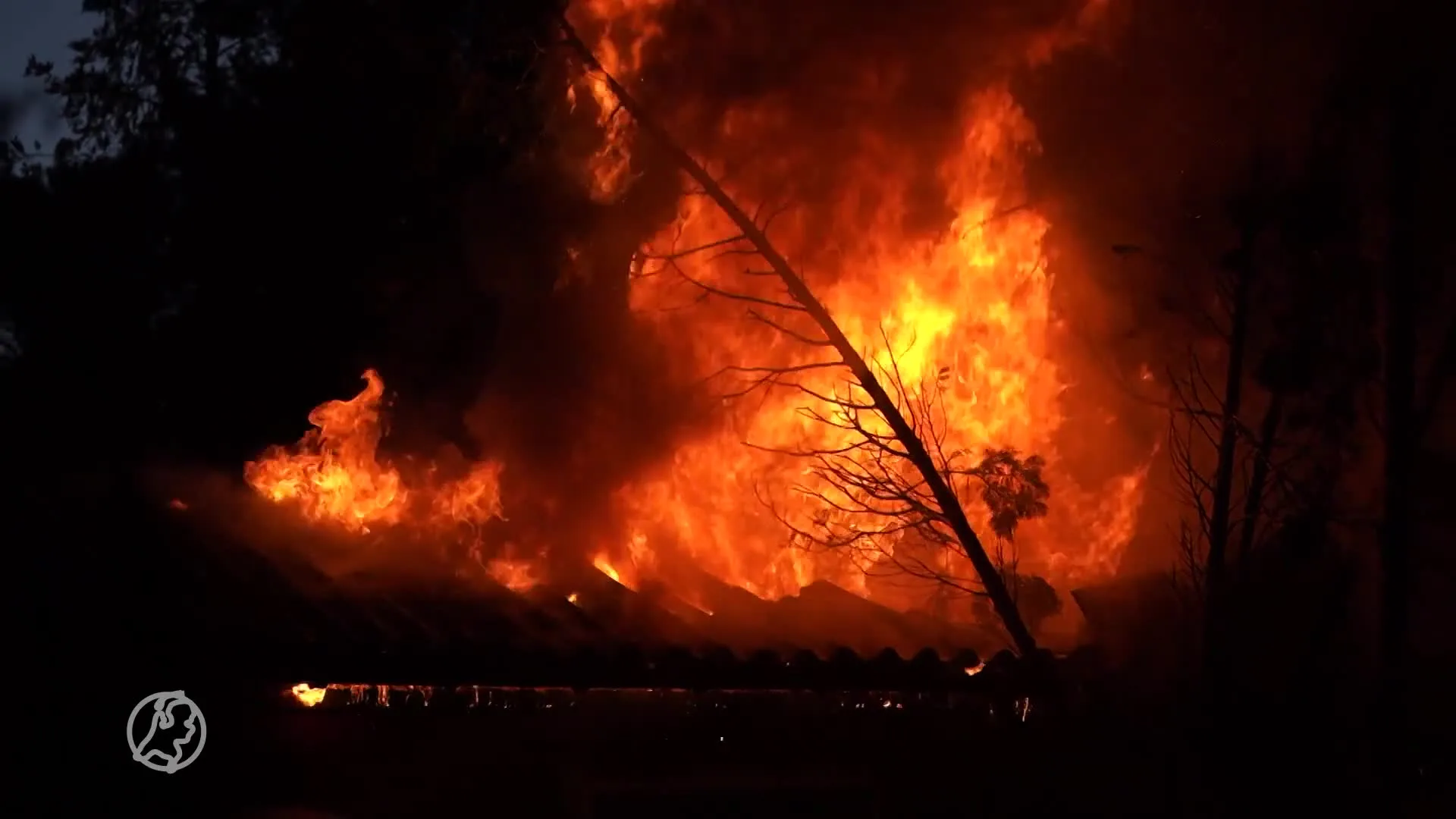 Inferno op groot bungalowpark Wijchen, meerdere chalets in vlammen op