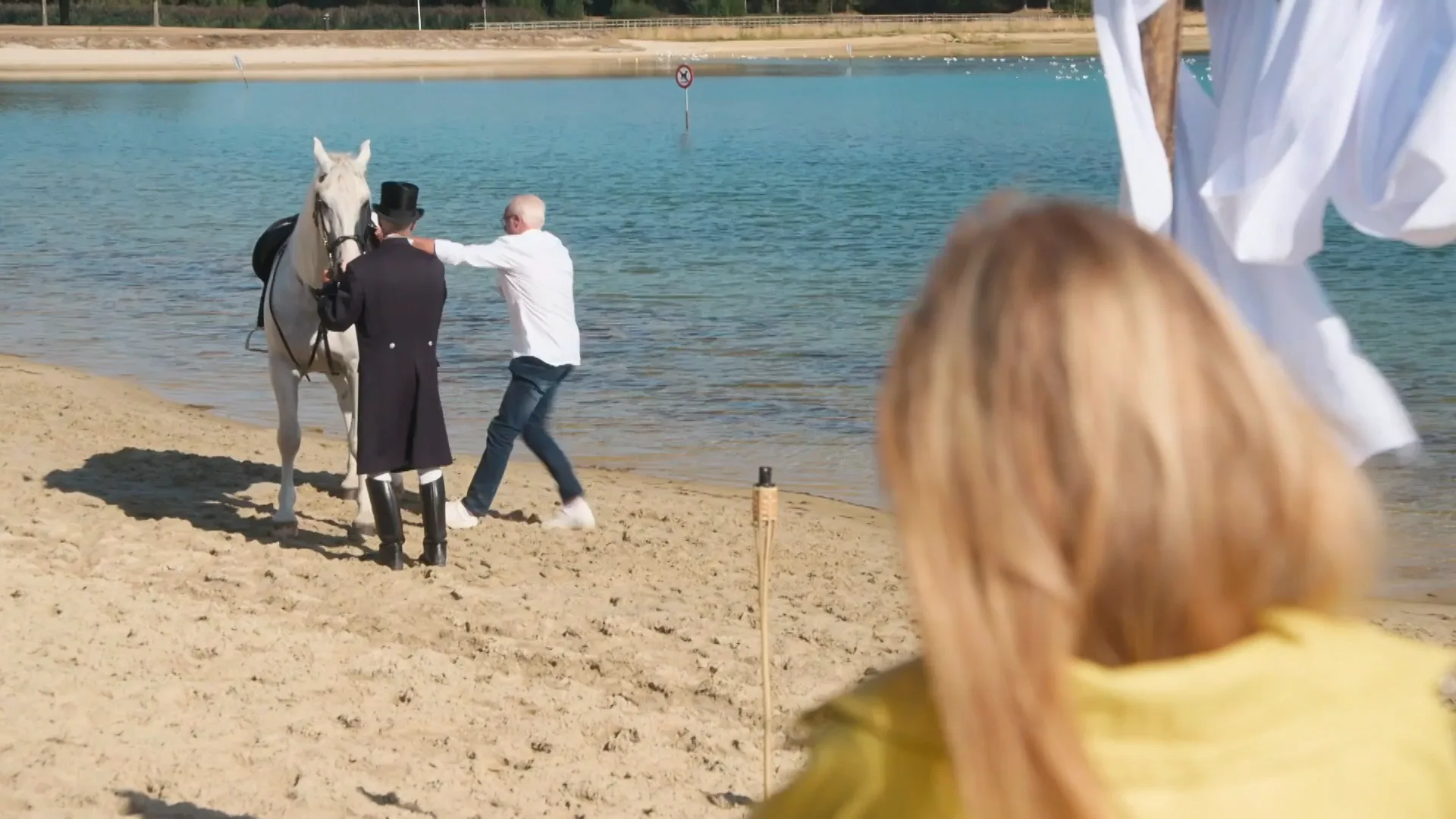 SPRAKELOOS na AANZOEK ter WITTE PAARD