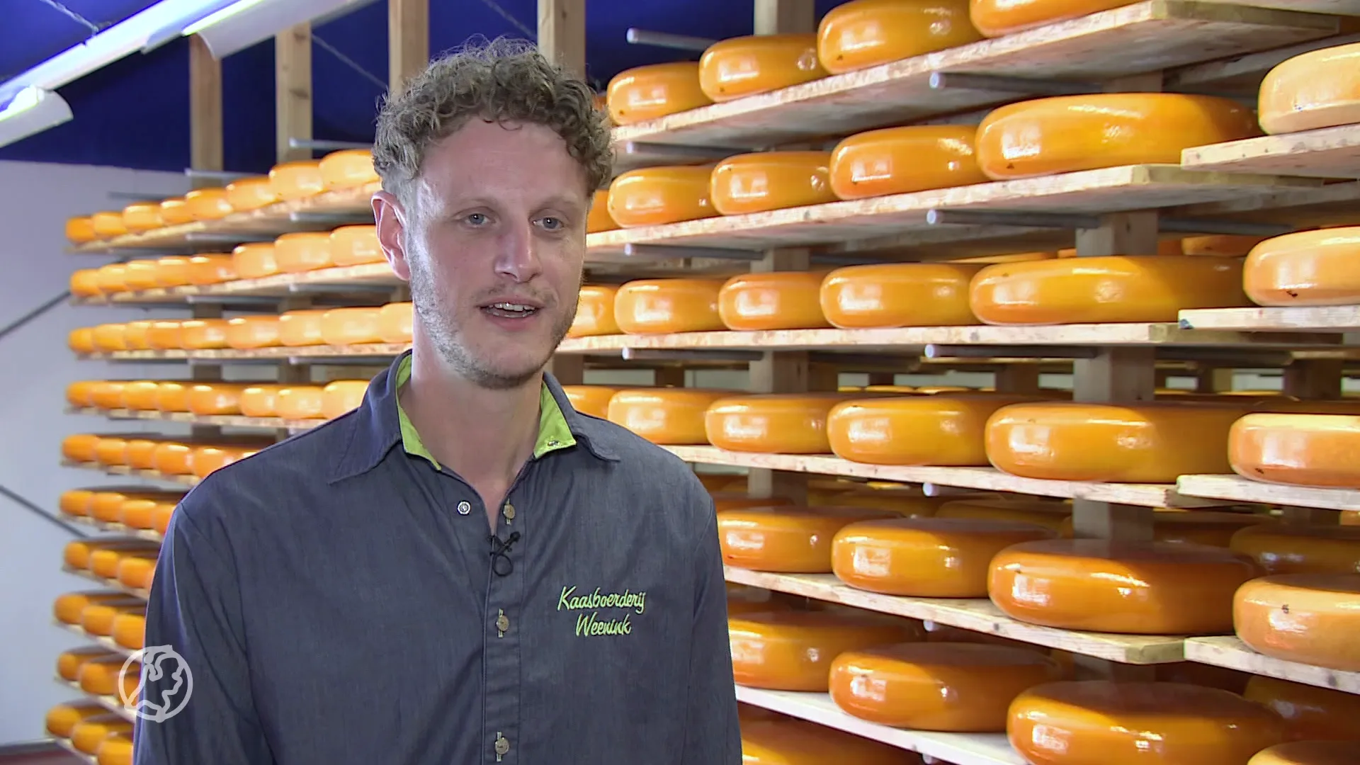Kaasboer opnieuw bestolen door kaasbende: 'Driehonderd stuk weg'