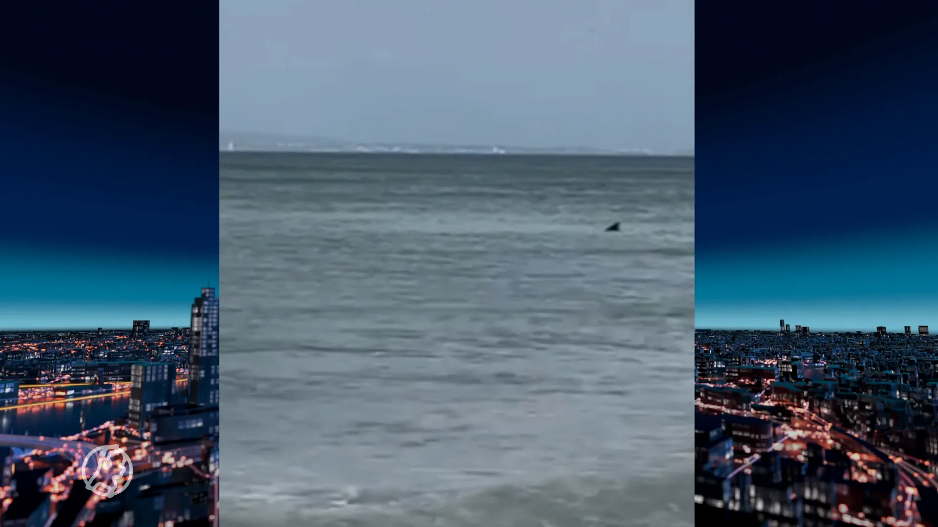 Haai jaagt vakantievierende Petra stuipen op het lijf... maar toch is het wel gaaf!