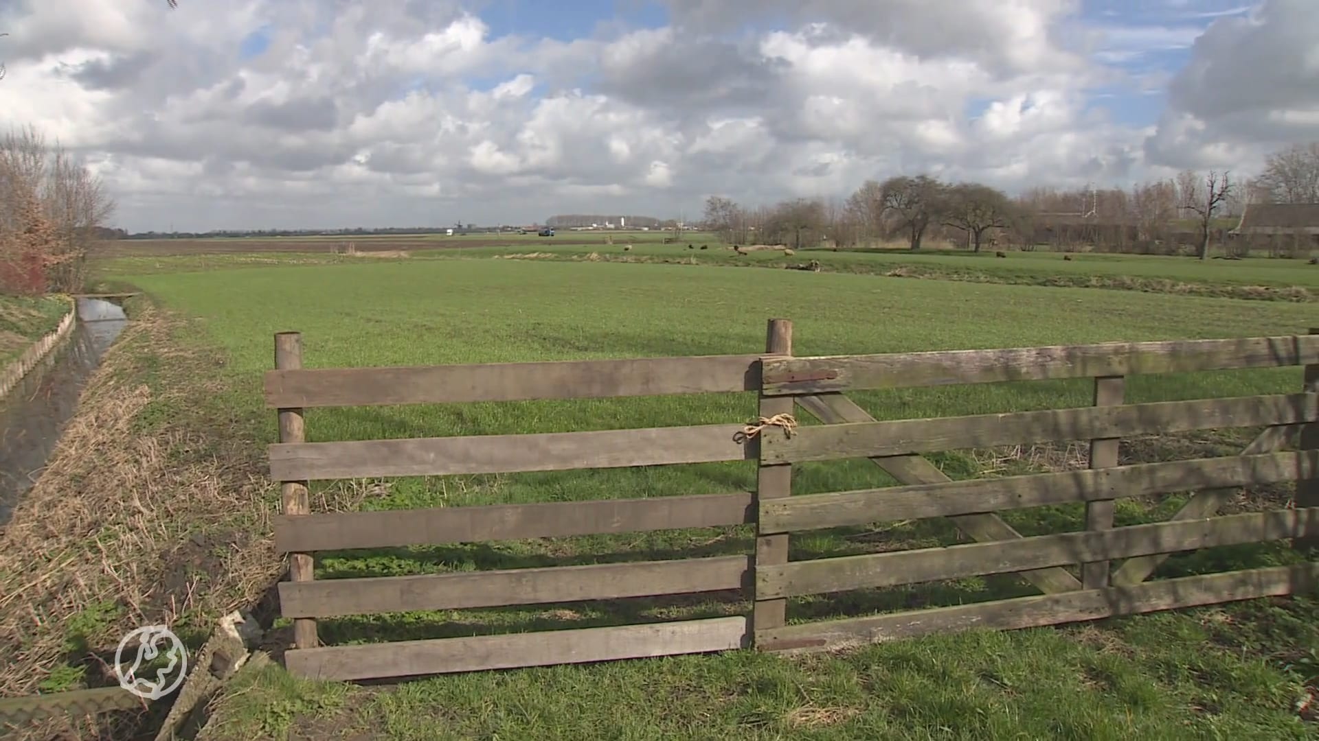 Woningnood belangrijkste thema bij Provinciale Statenverkiezingen, moeten we dan maar in het groen bouwen?