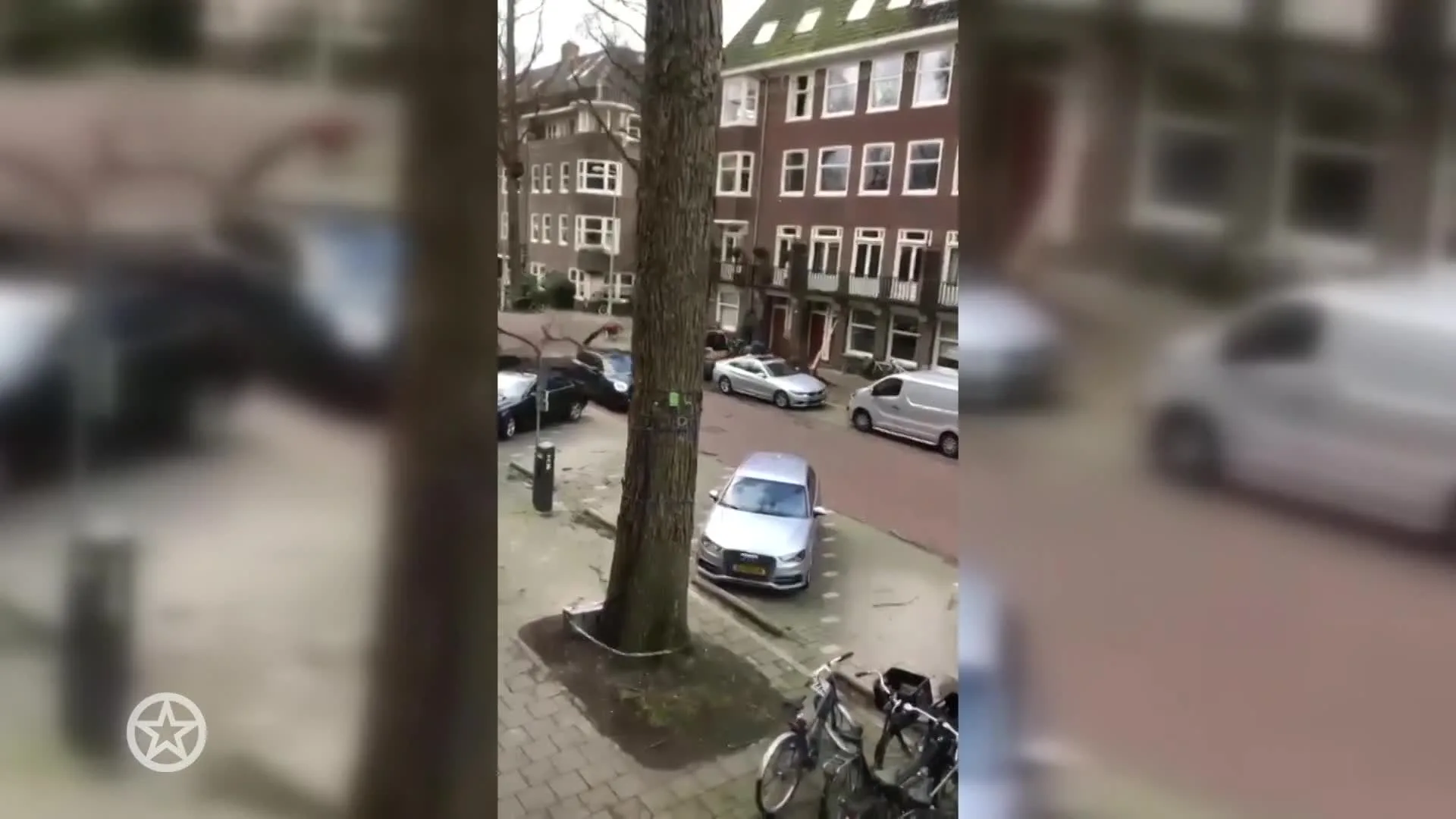 Auto Ellemieke Vermolen geraakt door boom