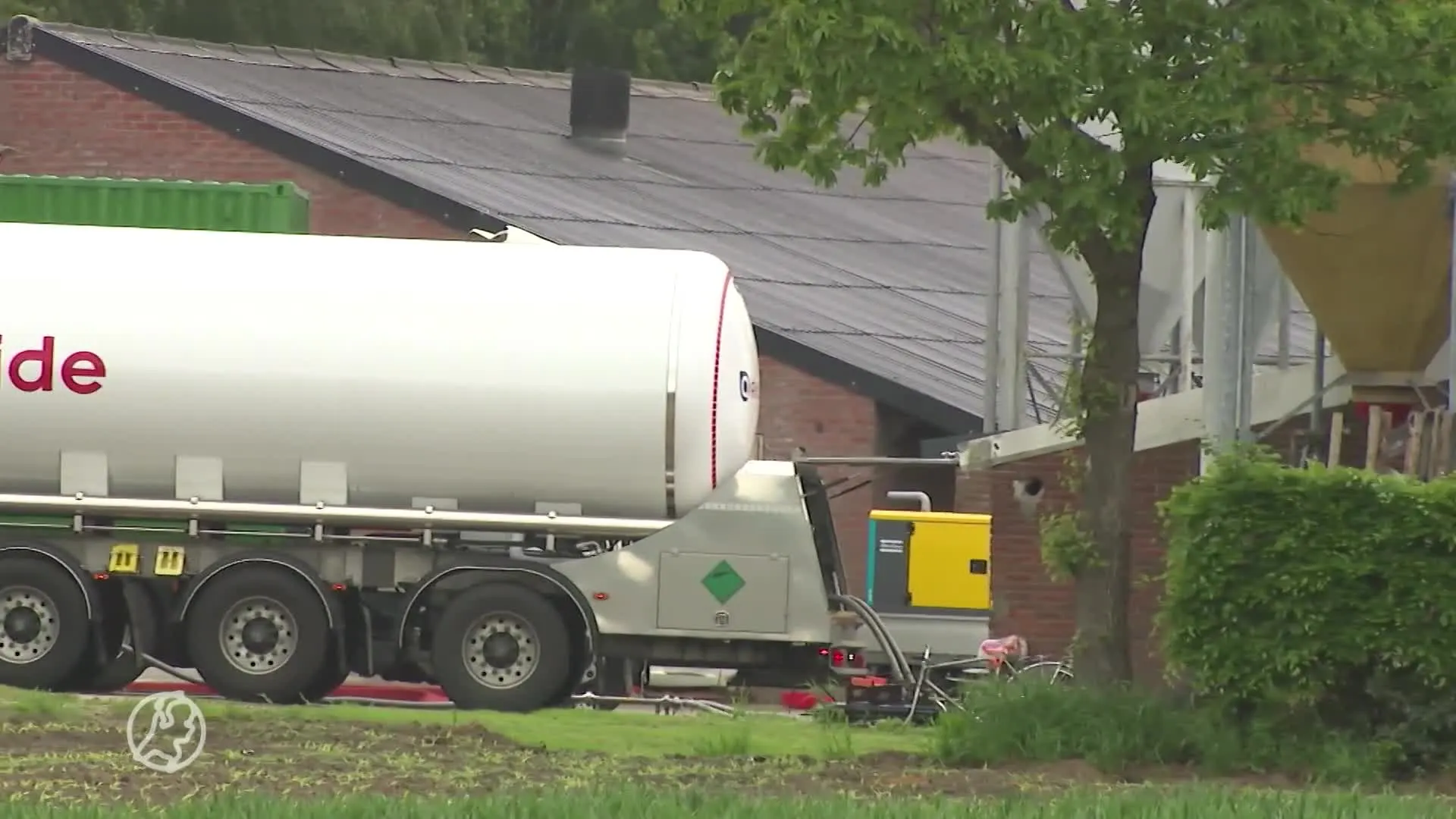 Duizenden dieren geruimd in Weert vanwege vogelgriep