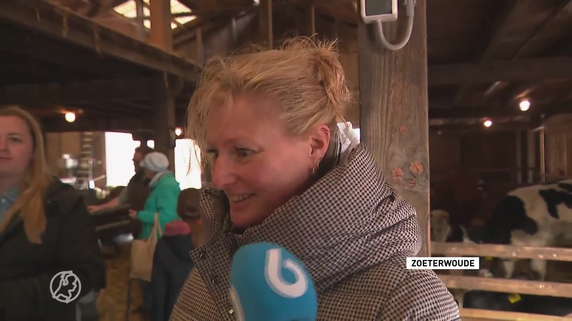 Het is tweede paasdag, dus drukte in woon- en tuinwinkels