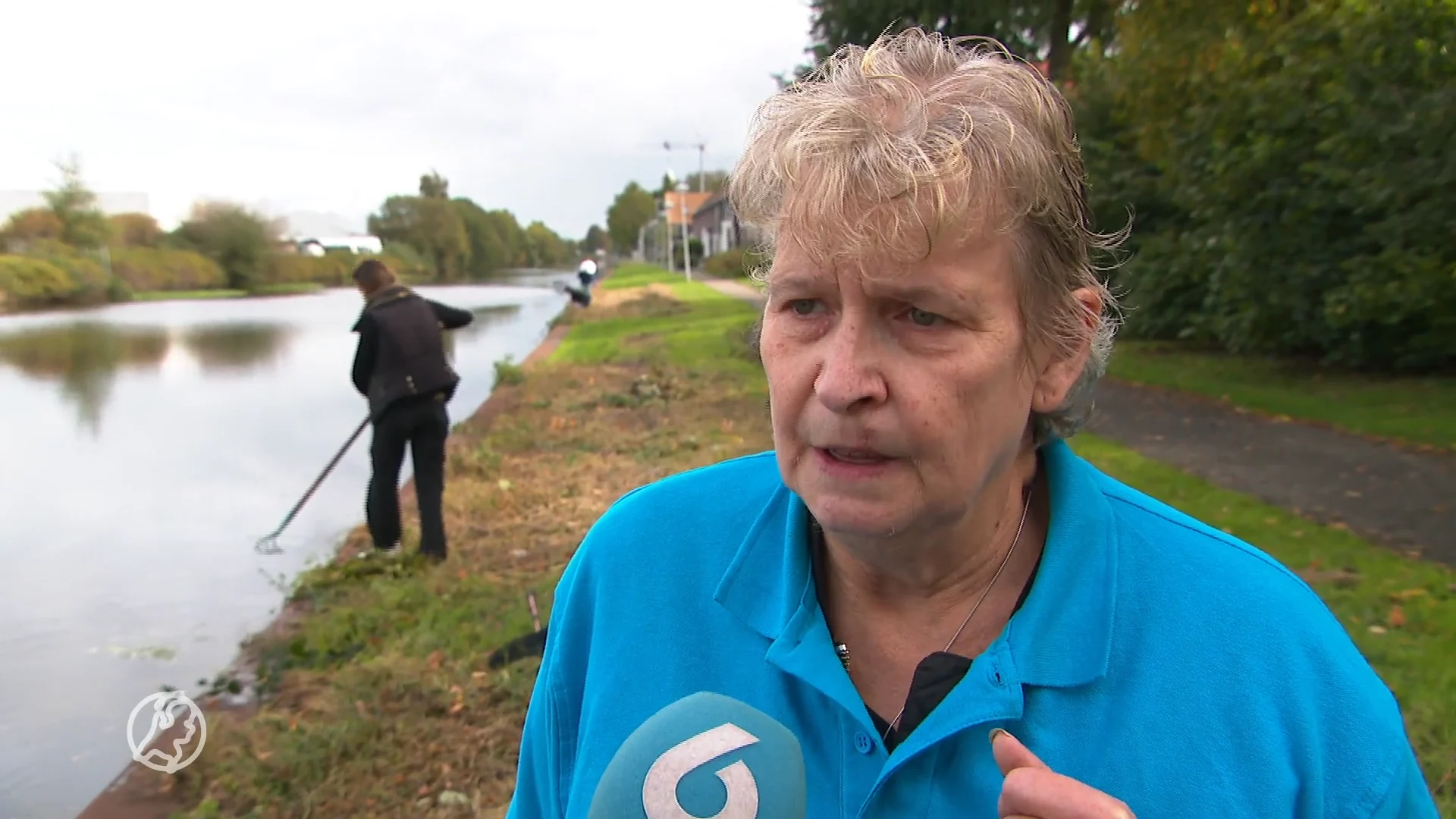 Zoektocht naar tientallen vermiste katten in Hoogeveen