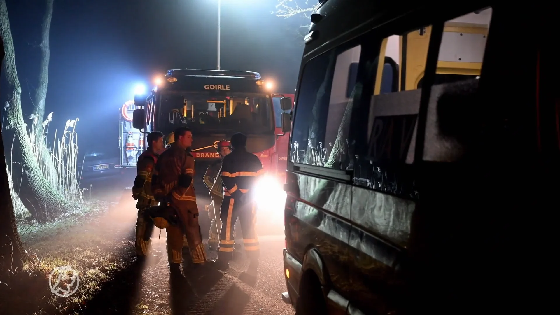 Dode gevonden in Tilburg, auto met honden in beslag genomen