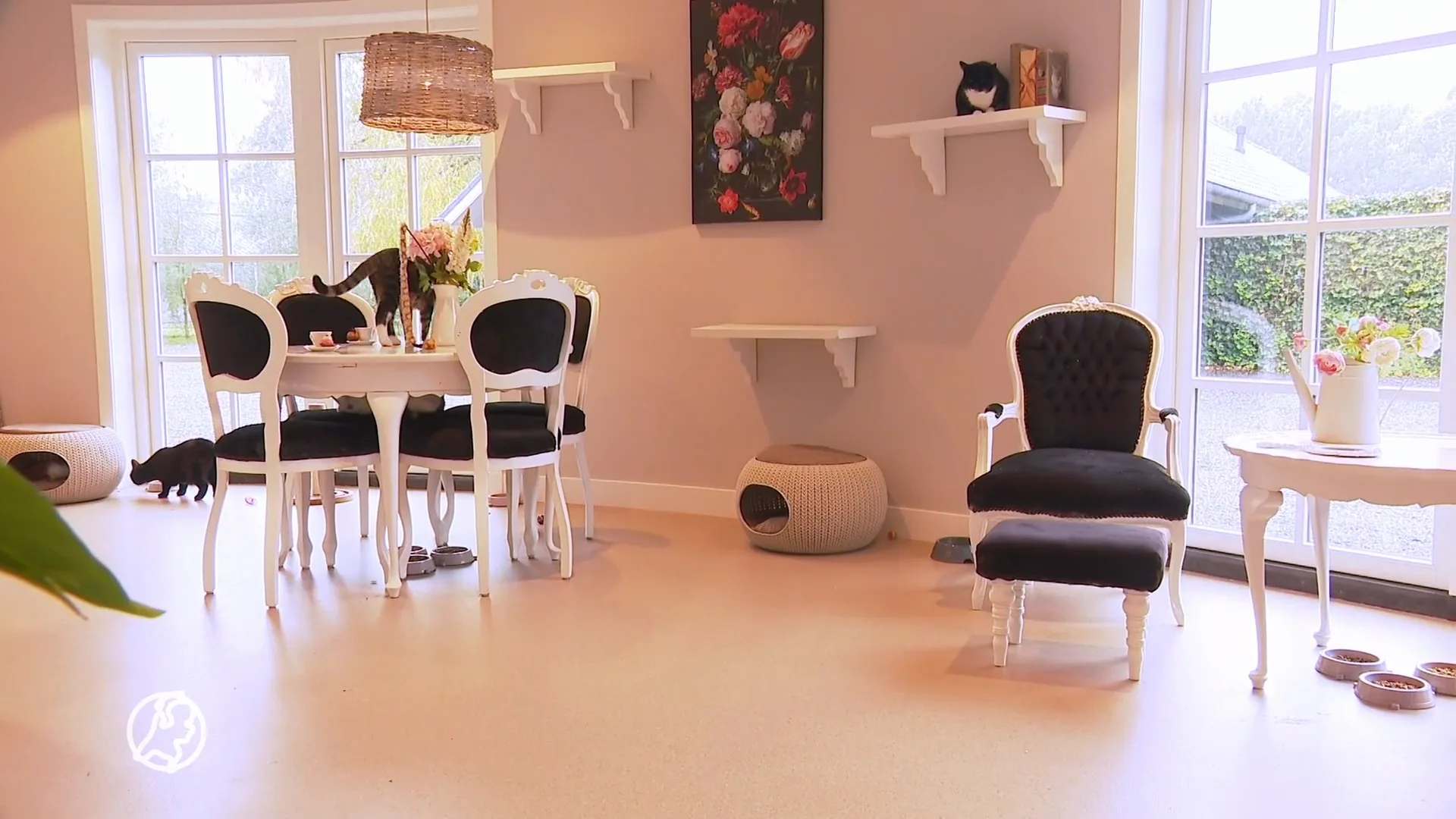 Jij op vakantie in luxe resort? Dan de viervoeter ook