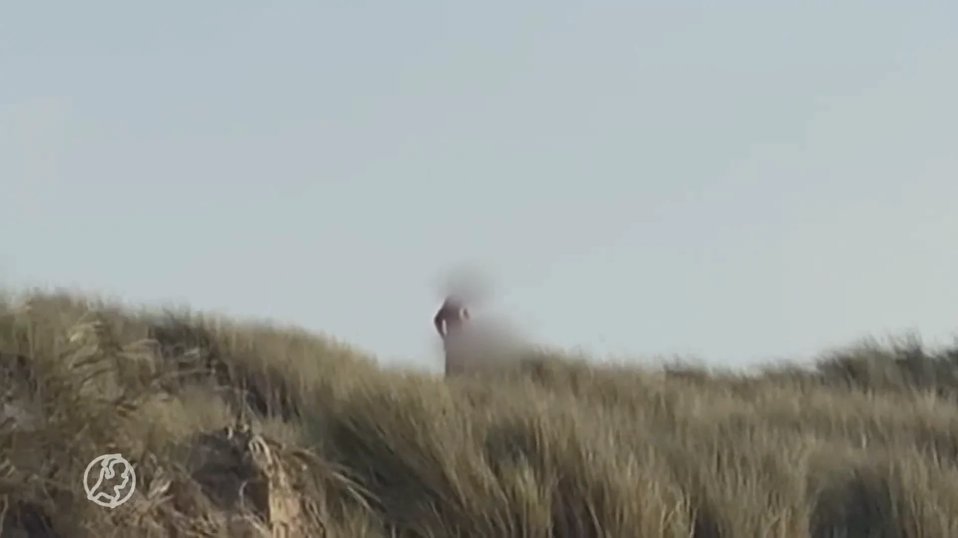 Vrouwenpolder stelt seksverbod in vanwege vele vrijende mensen in duinen bij naaktstrand.mp4