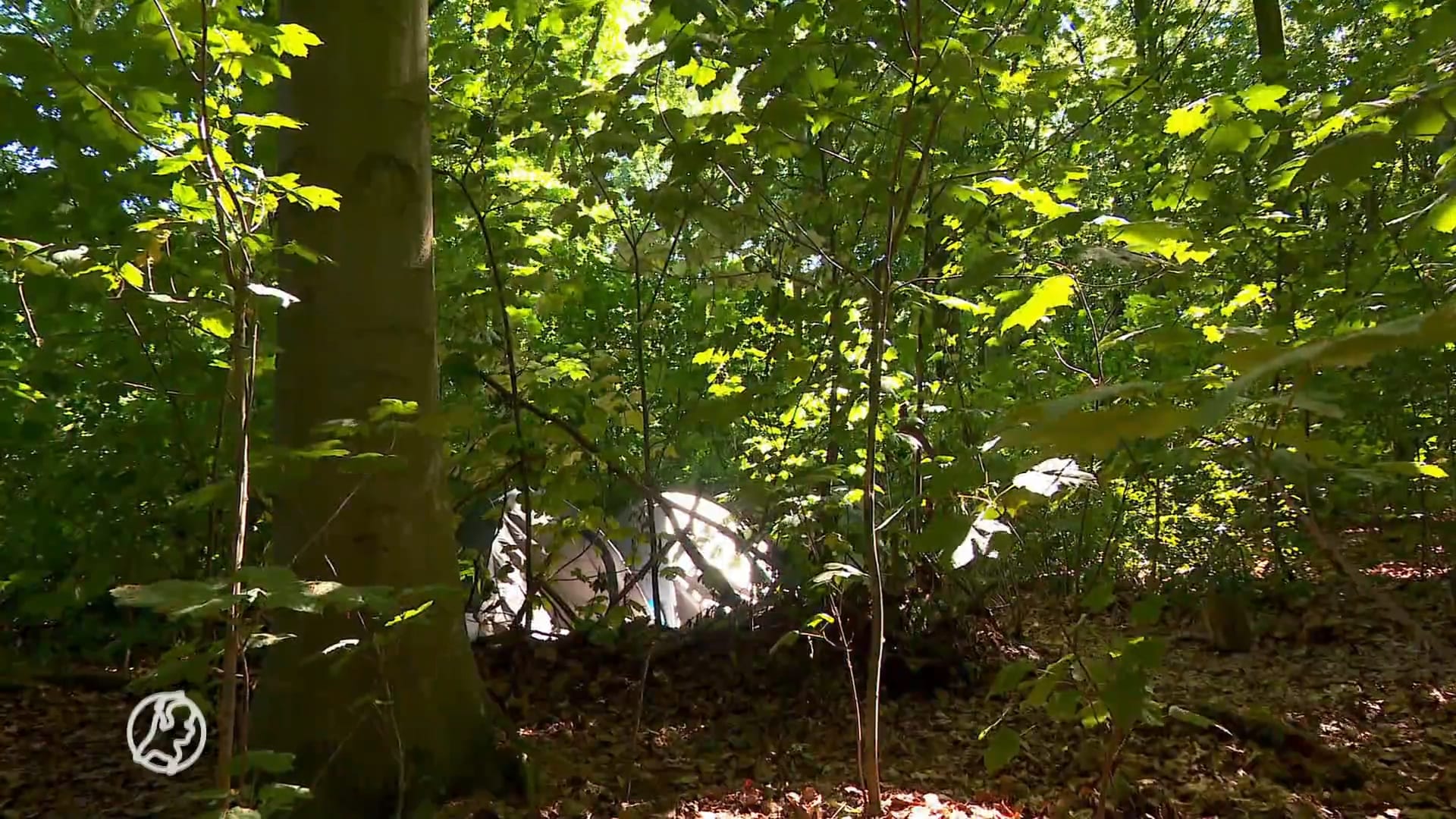 Woningnood eist zeven levens in Den Haag: 'Bouwen is niet genoeg'