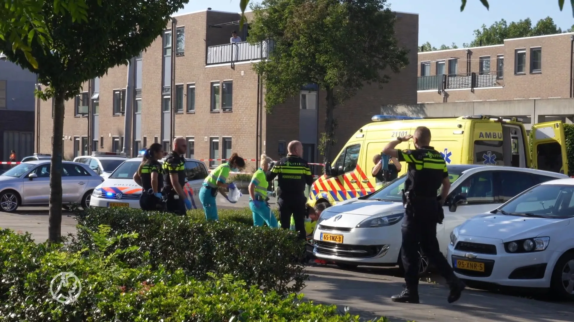 Vrouw (34) op straat dood gestoken in Den Bosch