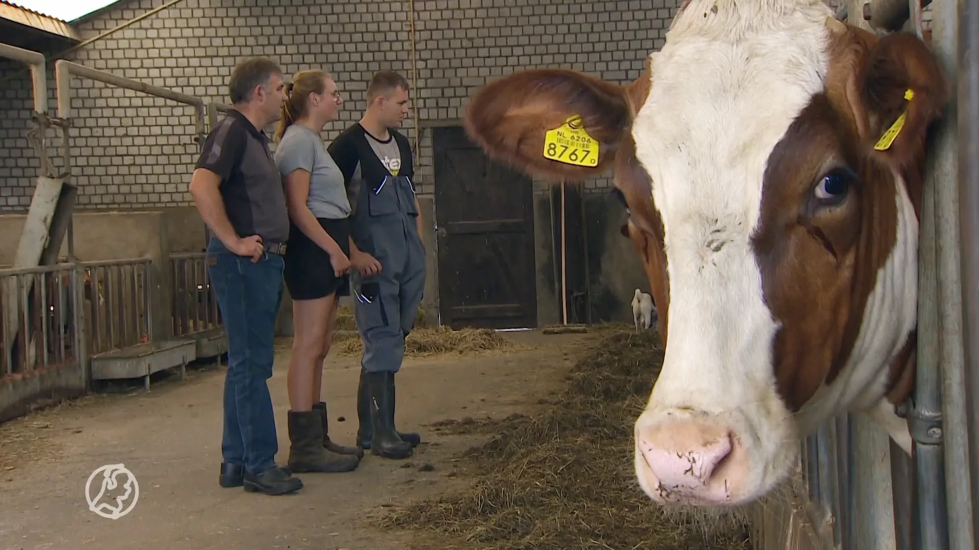 Boeren krijgen geen leningen, zonder geld kunnen ze niet aan strenge stikstofeisen voldoen