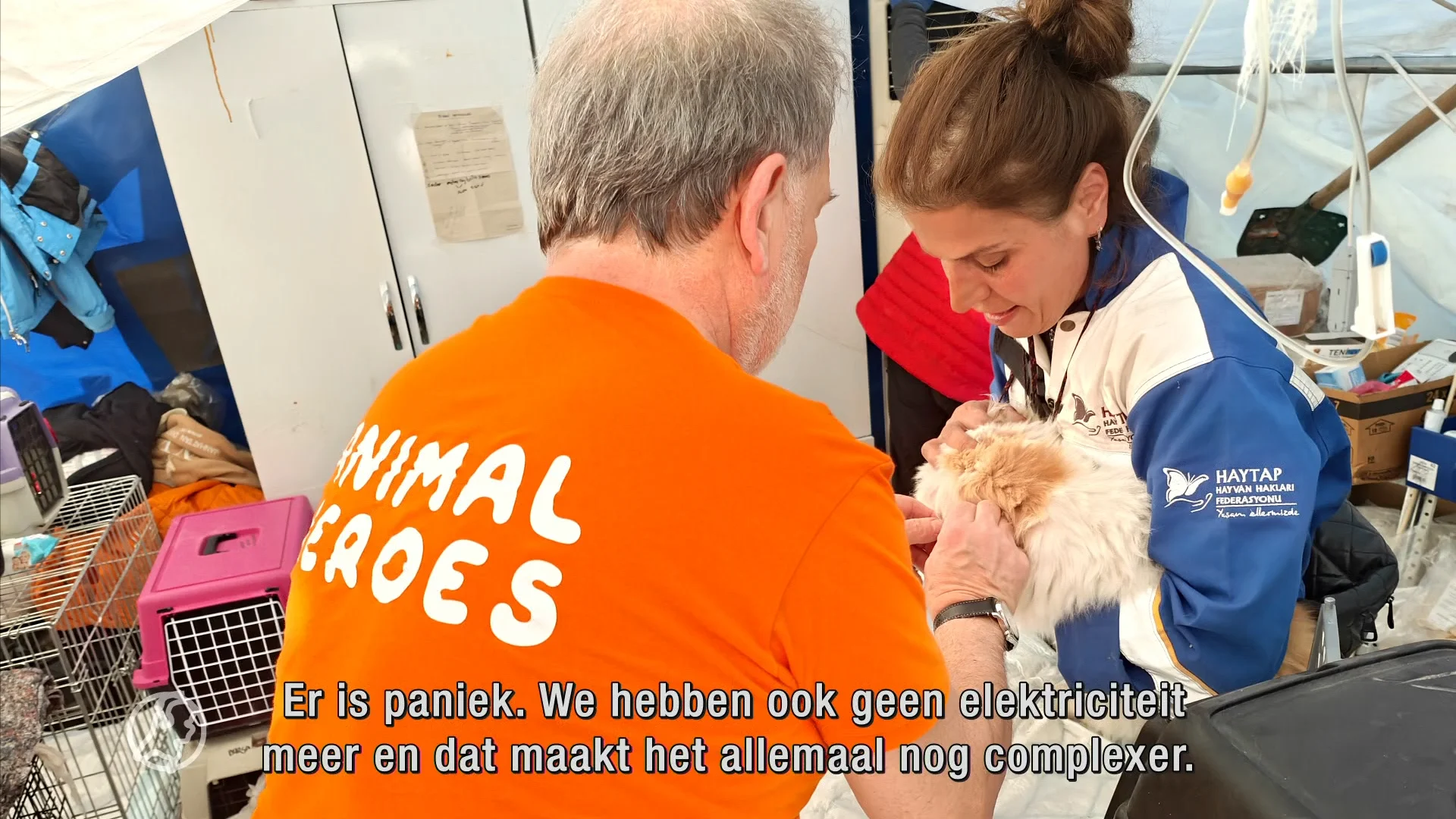 Deze Nederlandse helden redden talloze dieren uit het puin: 'Race tegen de klok'