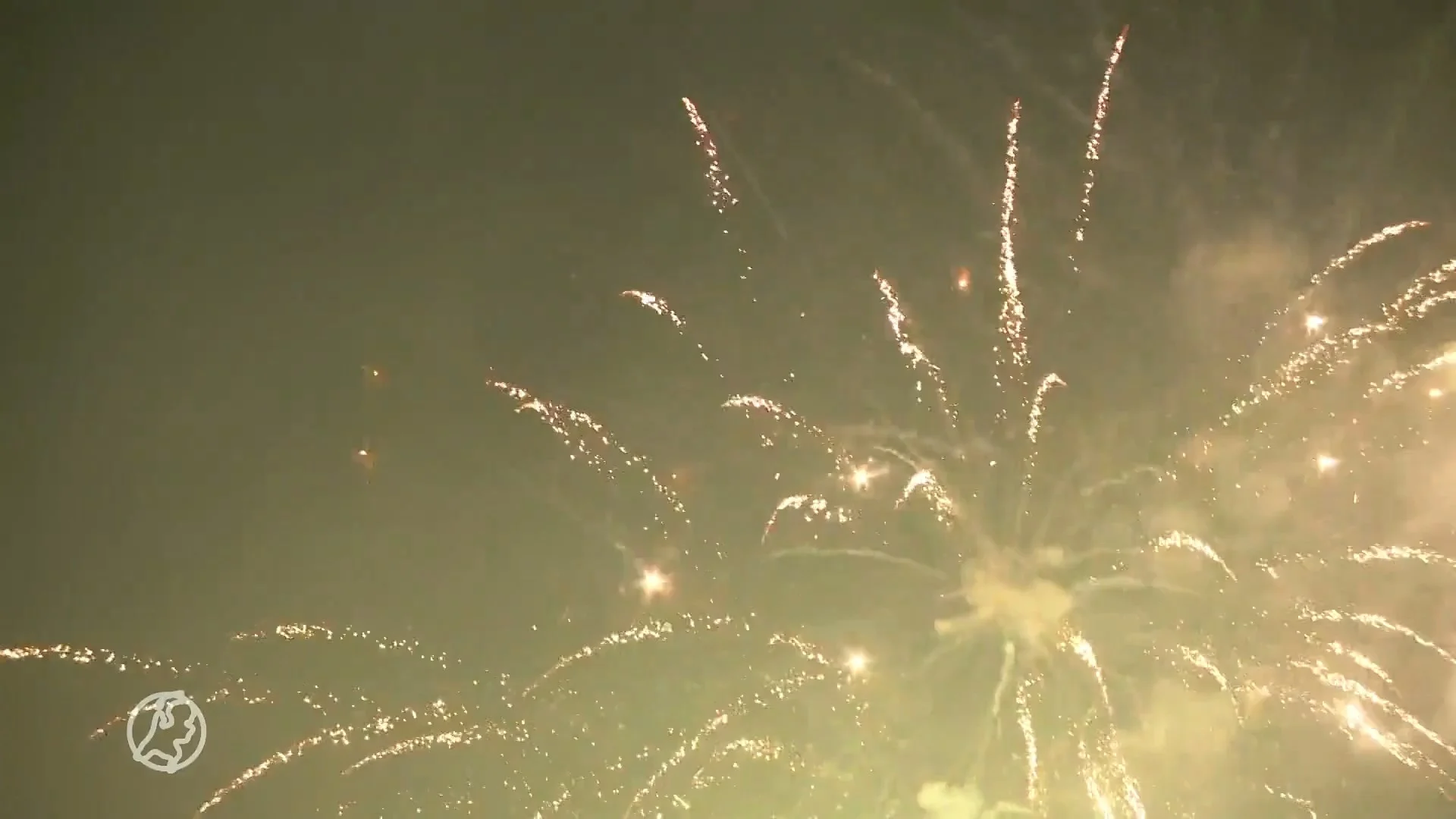 Partij voor de Dieren wil komende jaarwisseling opnieuw algeheel vuurwerkverbod