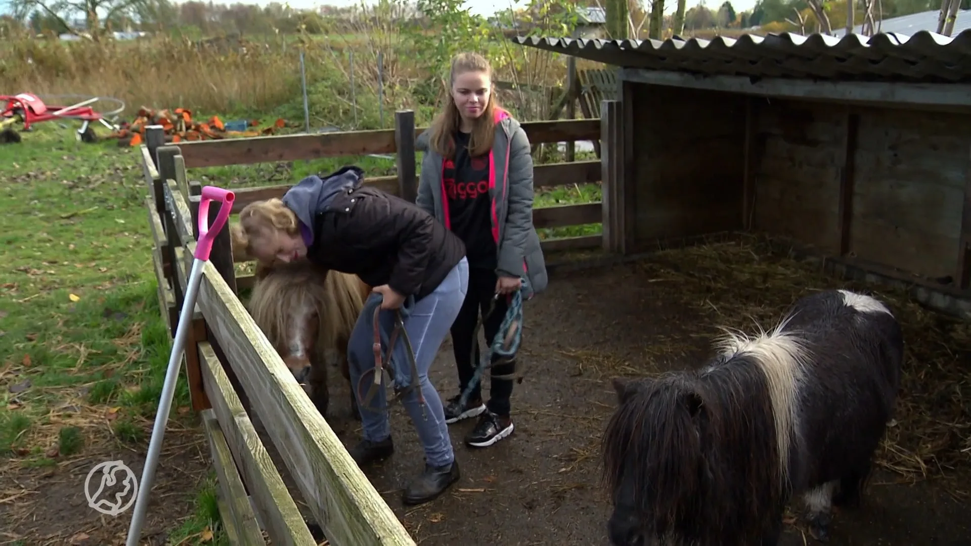 Unieke zorgboerderij in Noord-Hollands natuurgebied dreigt te verdwijnen