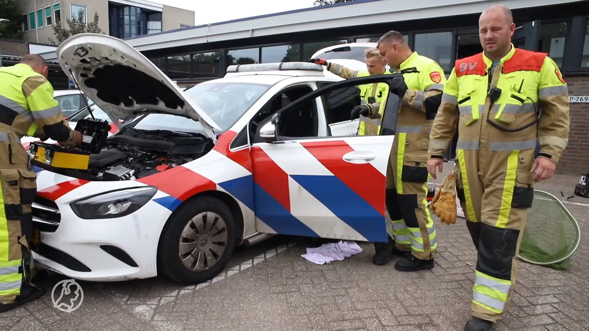 Vrouw neemt kat mee politieauto in, beest ontsnapt en komt vast te zitten