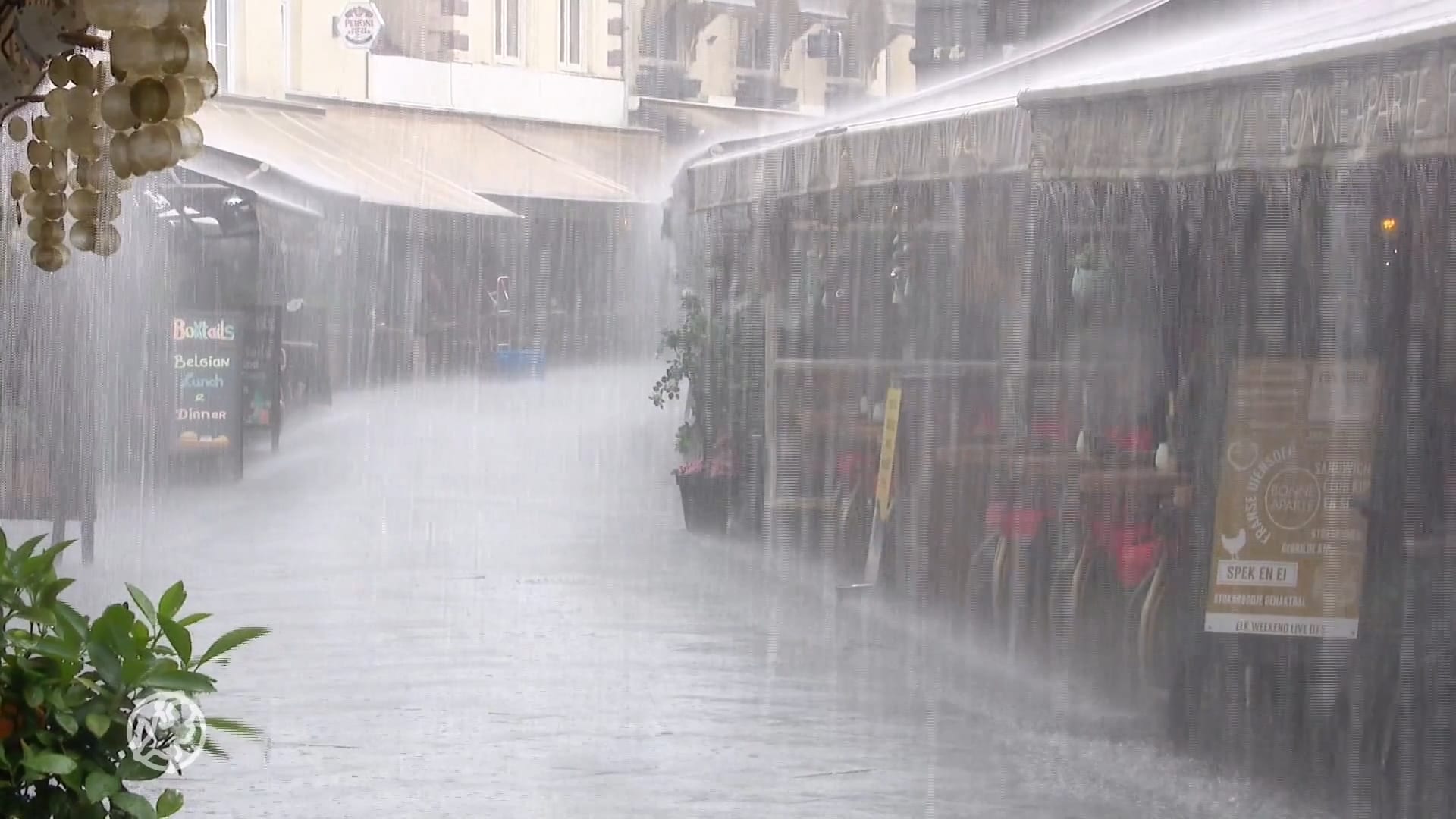 Noodweer zorgt voor overlast in zuiden van het land: omgevallen bomen en straten blank
