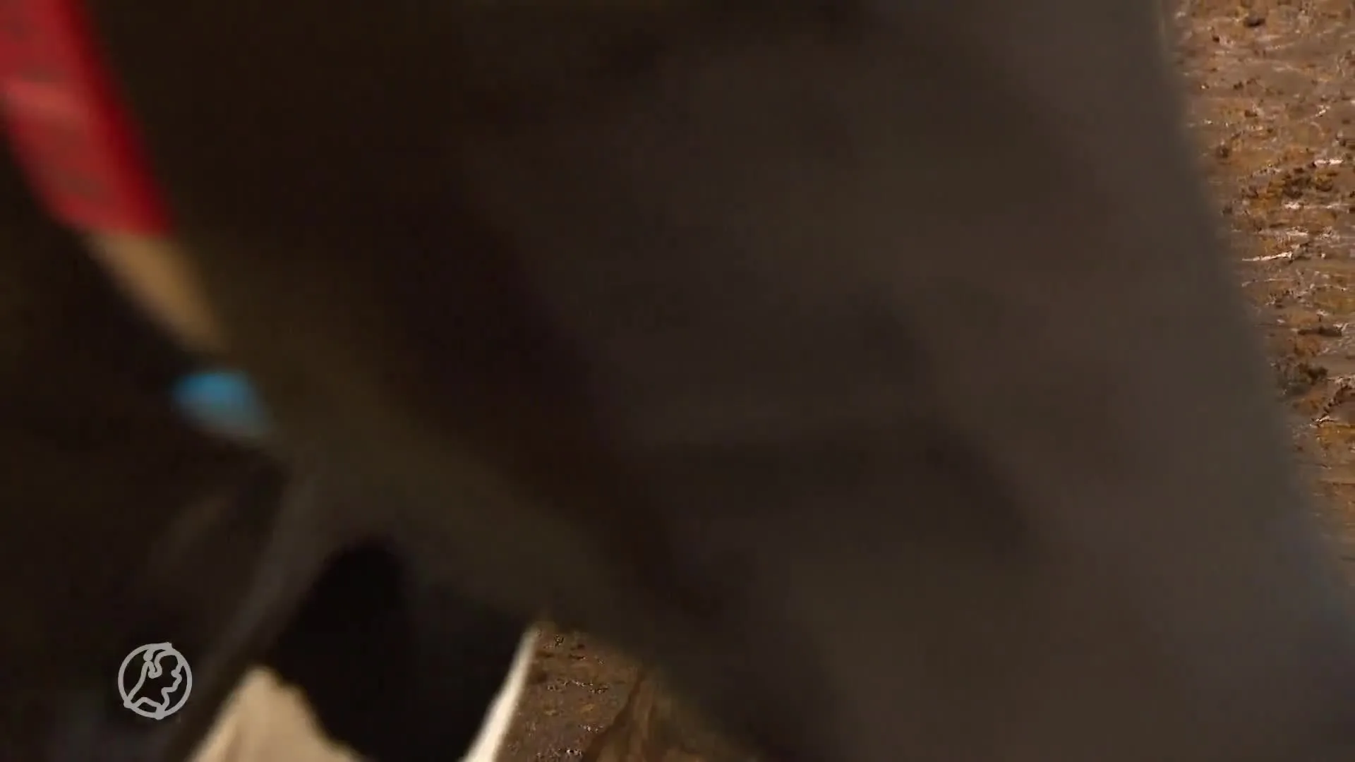 Kleine boer maakt zich geen enkele zorgen over stikstofplannen