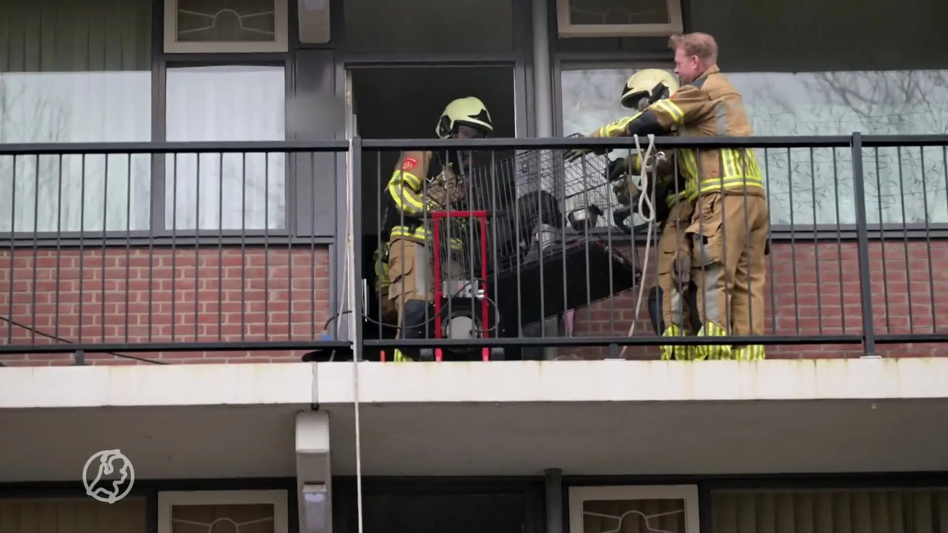 Hond moederziel alleen vast in brandend huis in Tilburg