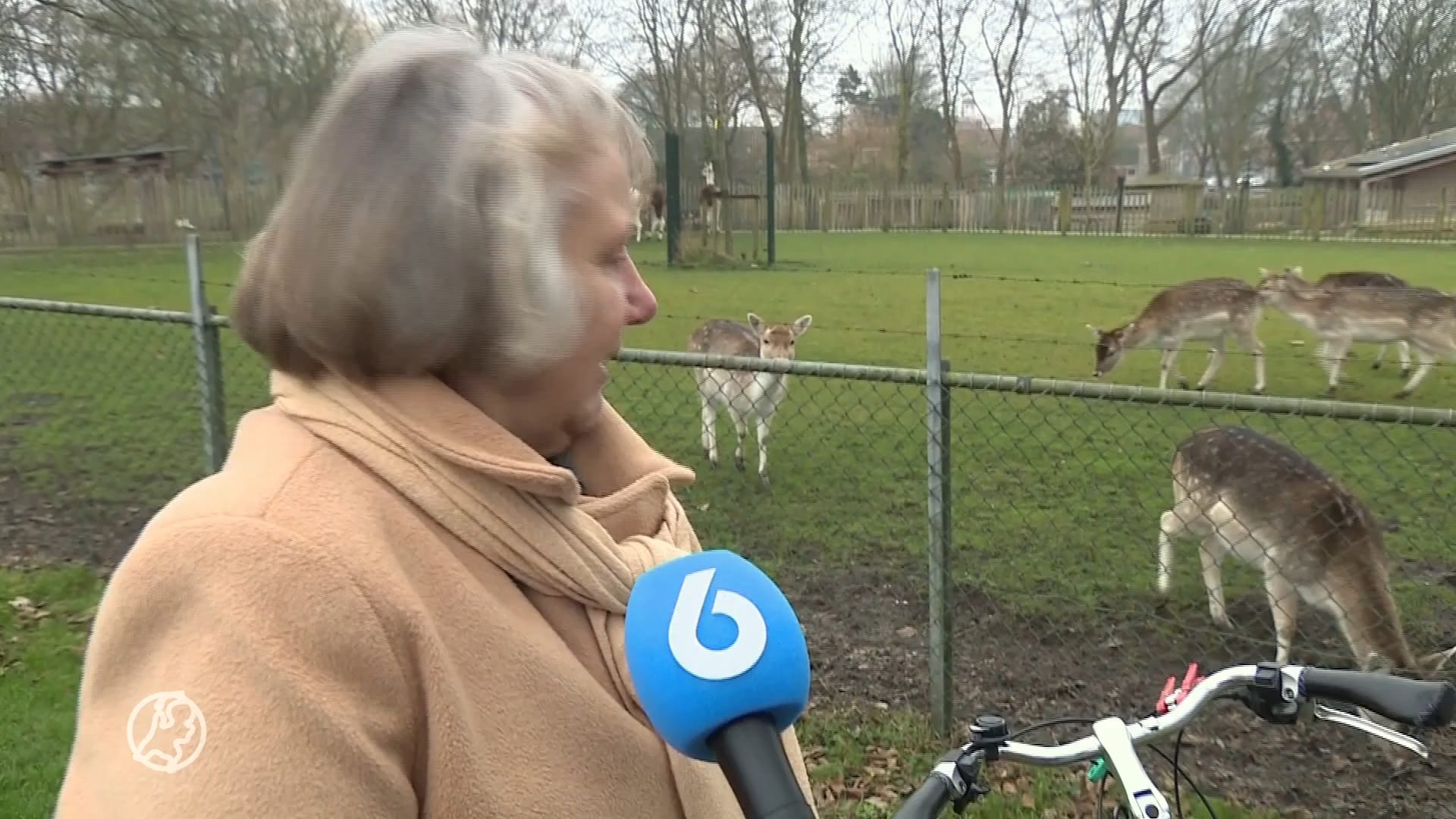 Hertenkampen dreigen uit te sterven