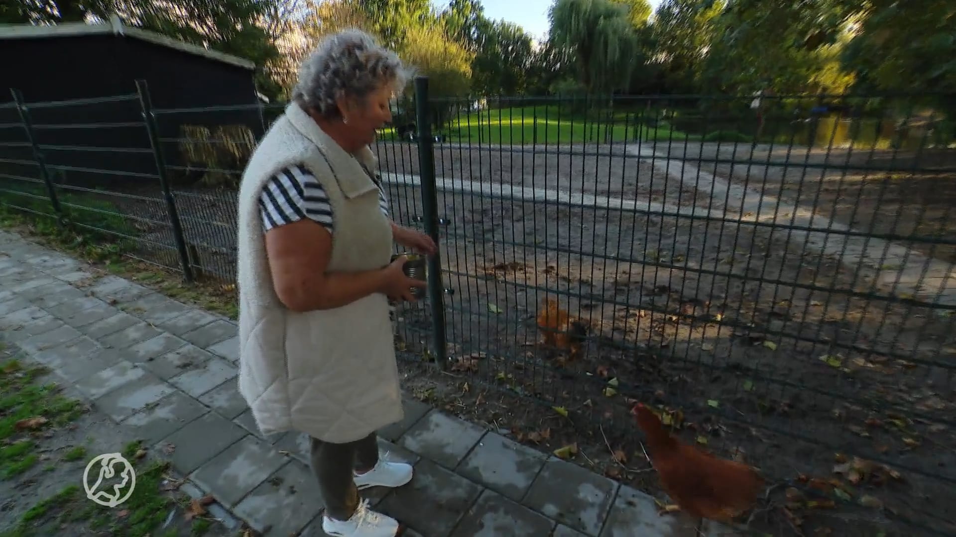 Haantjes worden massaal gedumpt: 'Het is geen vermaakartikel'