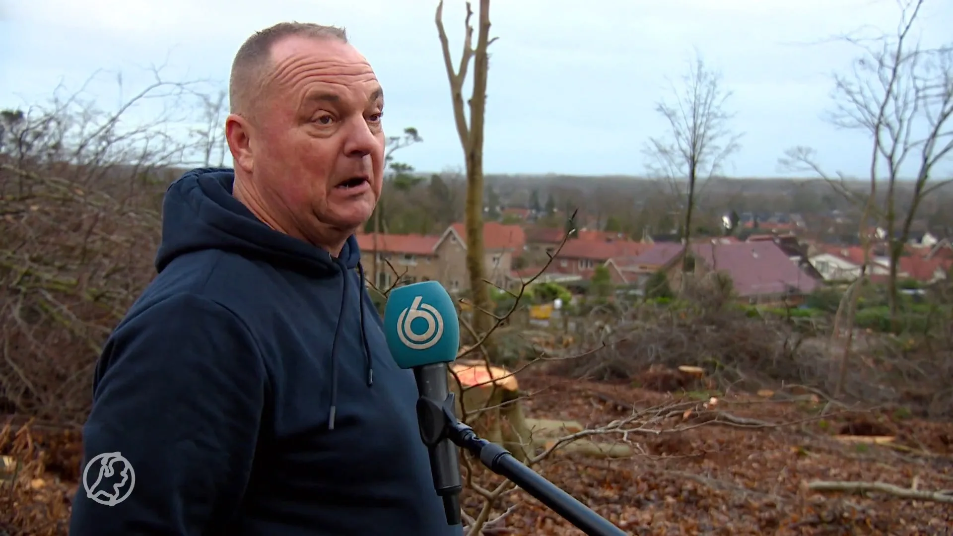 Bankjes ter herinnering aan de storm die Leersum voorgoed veranderde