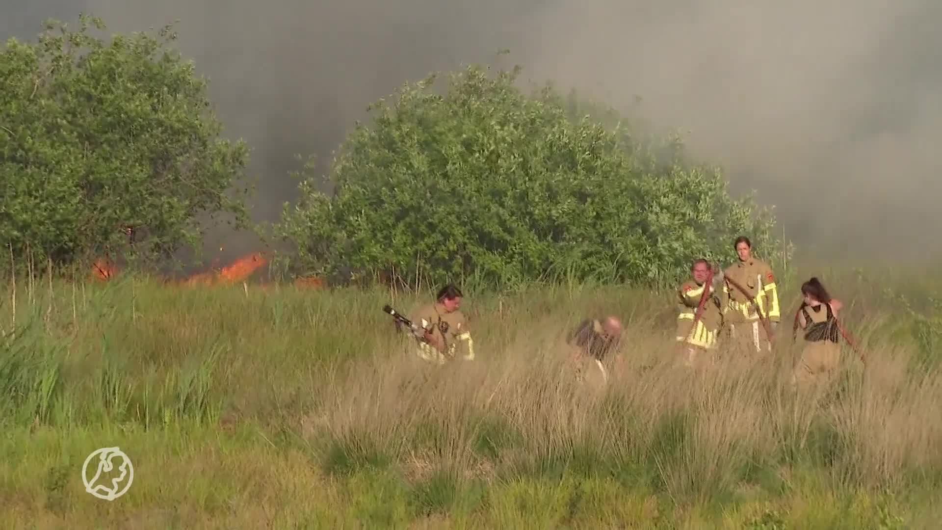 Grote natuurbrand in Limburg, wind jaagt vlammen over uitgedroogde heide