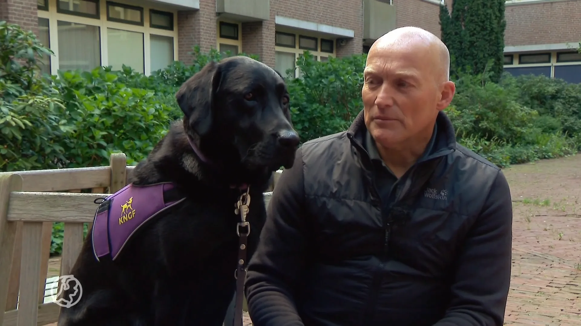 Agenten met PTSS krijgen buddyhond: 'Leven weer een beetje terug'