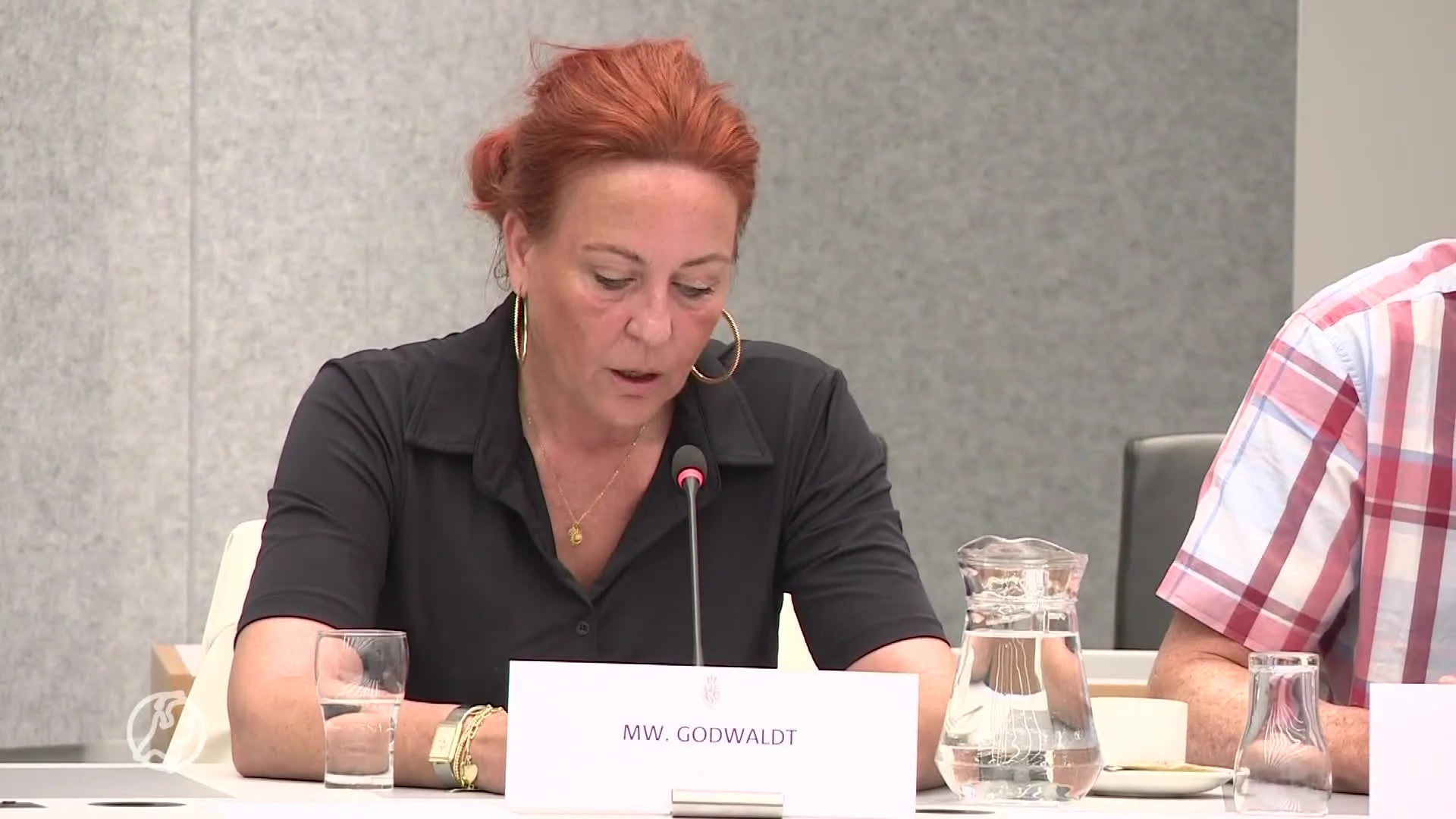 Nabestaanden en experts doen oproep om geweld tegen vrouwen apart te registreren