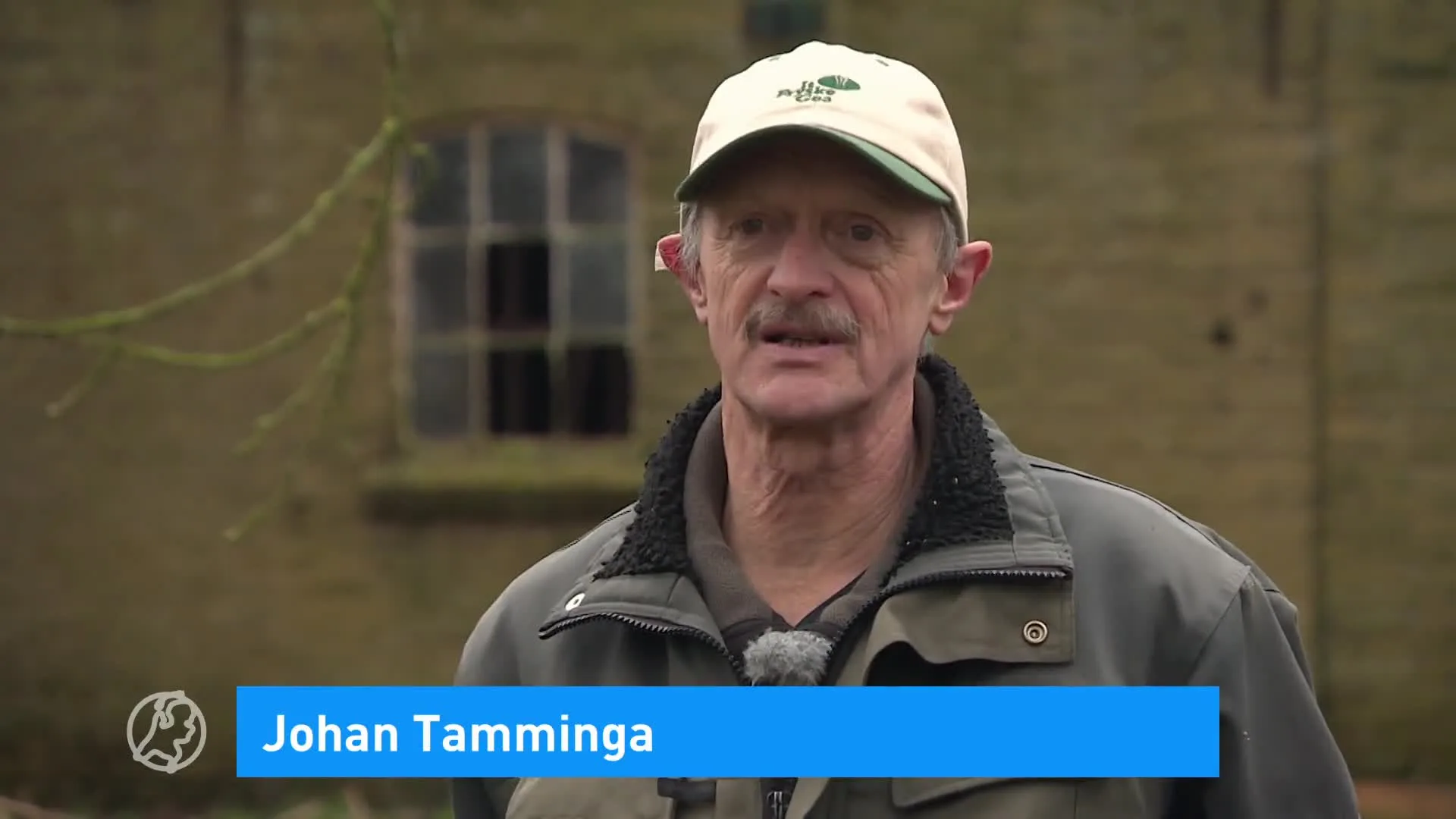 Een tapasplankje van een omgewaaide boom? In Leeuwarden kan het