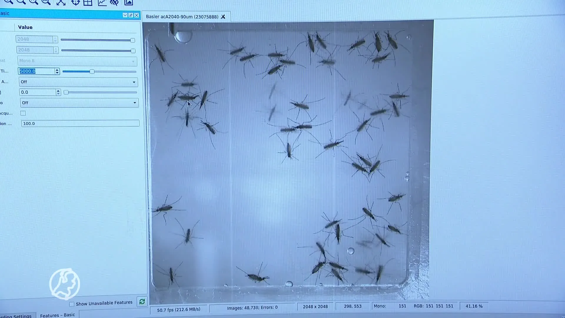 Waarom jij wordt lekgeprikt door muggen en een ander niet