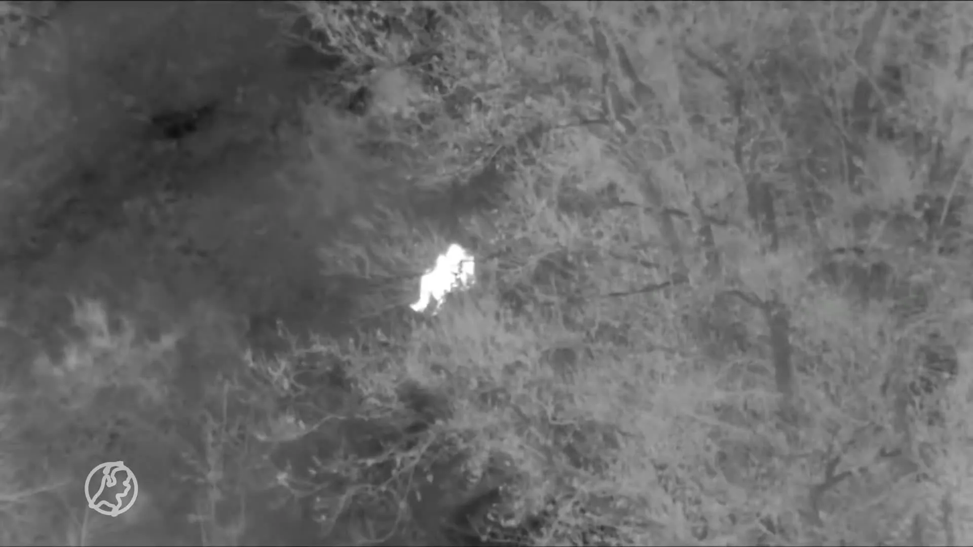 ZIEN: Schuilende plofkrakers gepakt dankzij inzet politiehelikopter